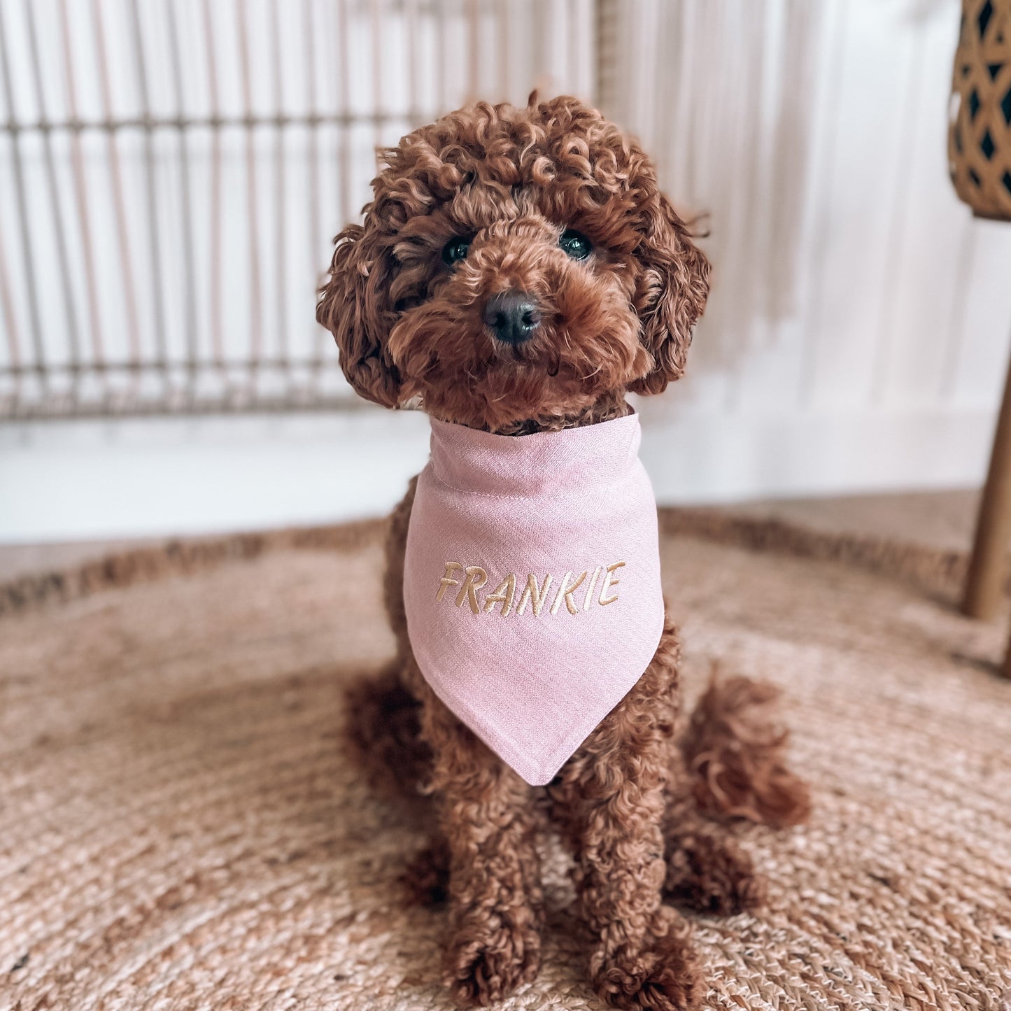 Personalised dog bandana