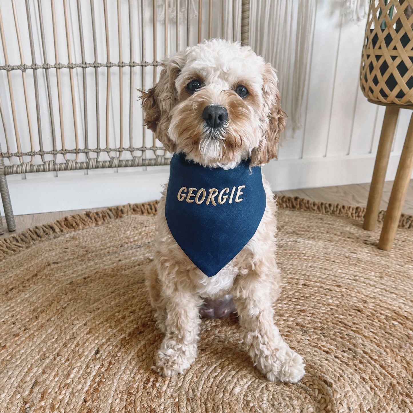 dog bandana personalised