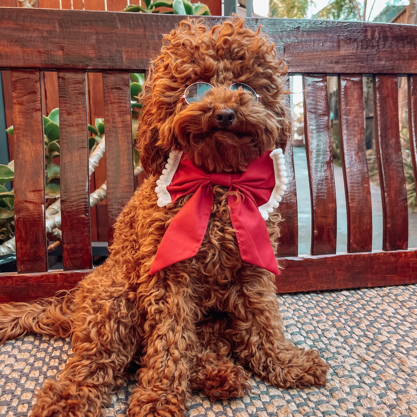 Imogen Bow with Trim