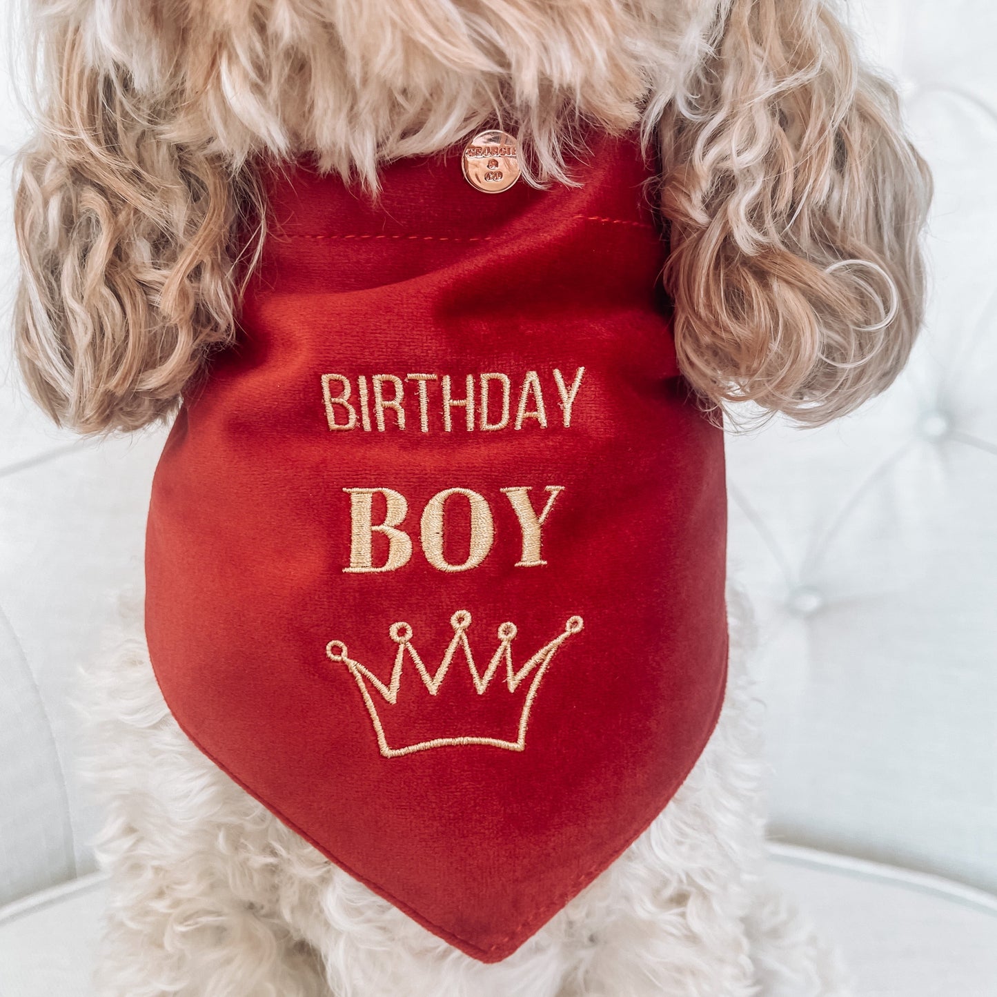 Sadie Birthday Boy Red Velvet Bandana