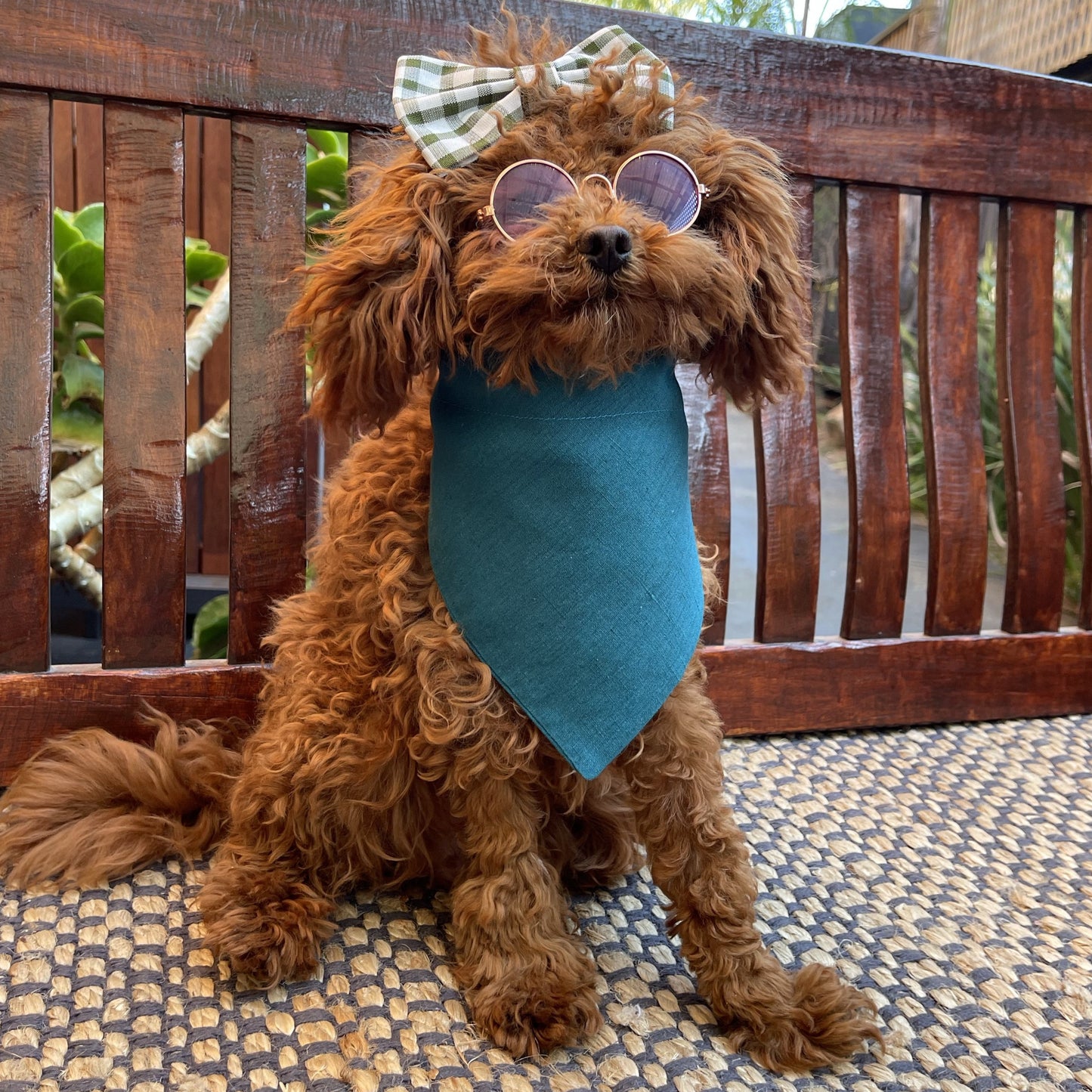 blue dog bandana