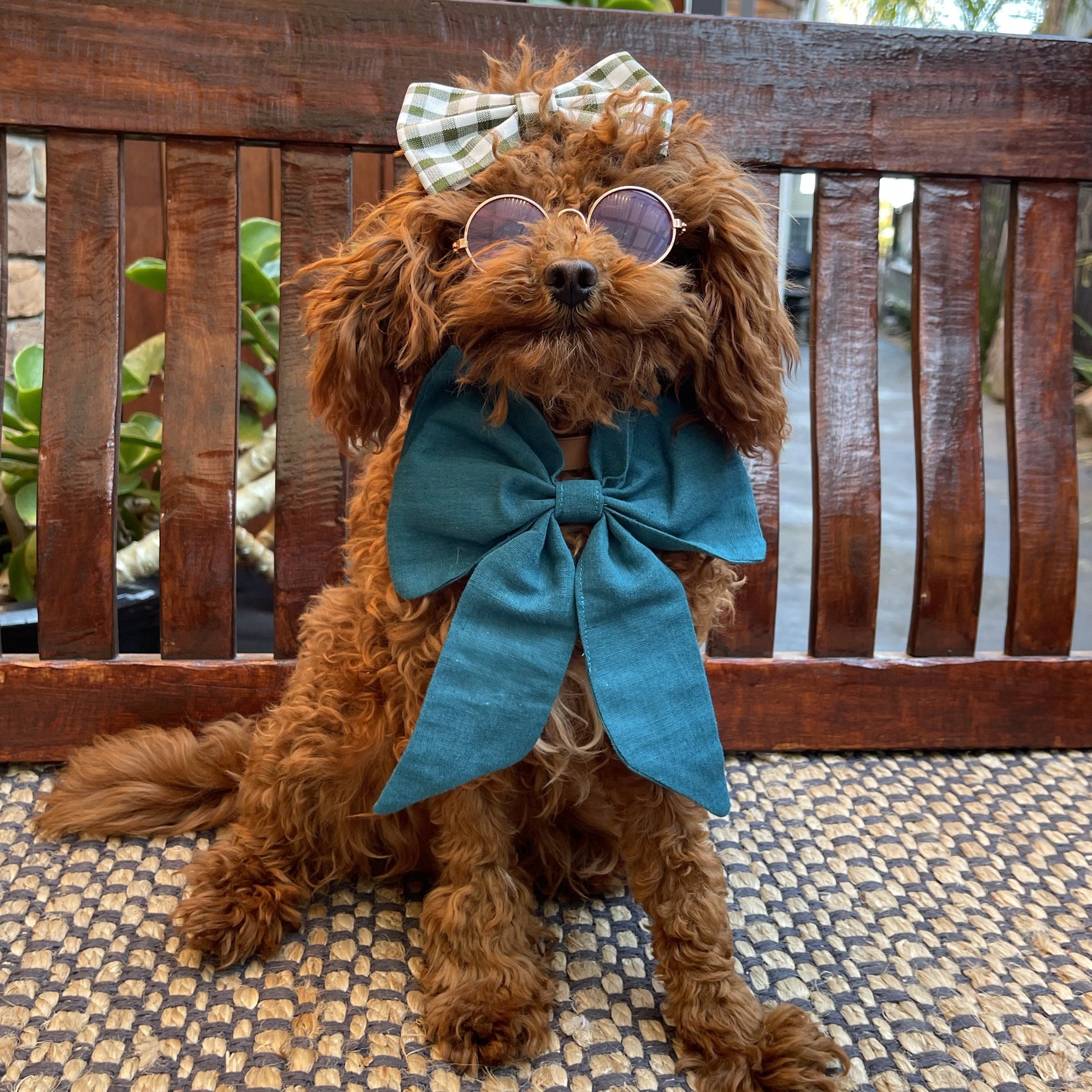 puppy blue sailor bow tie