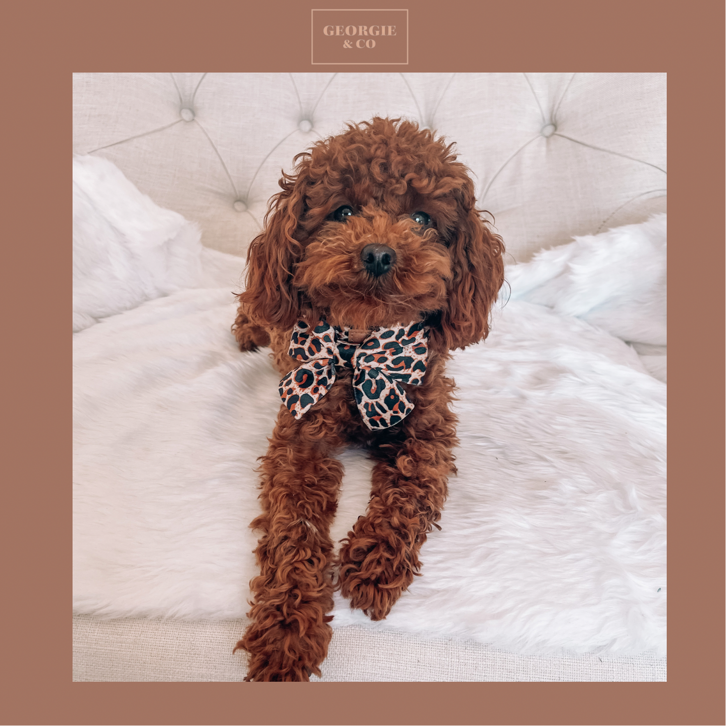 Presley Luxury Leopard Sailor Bow