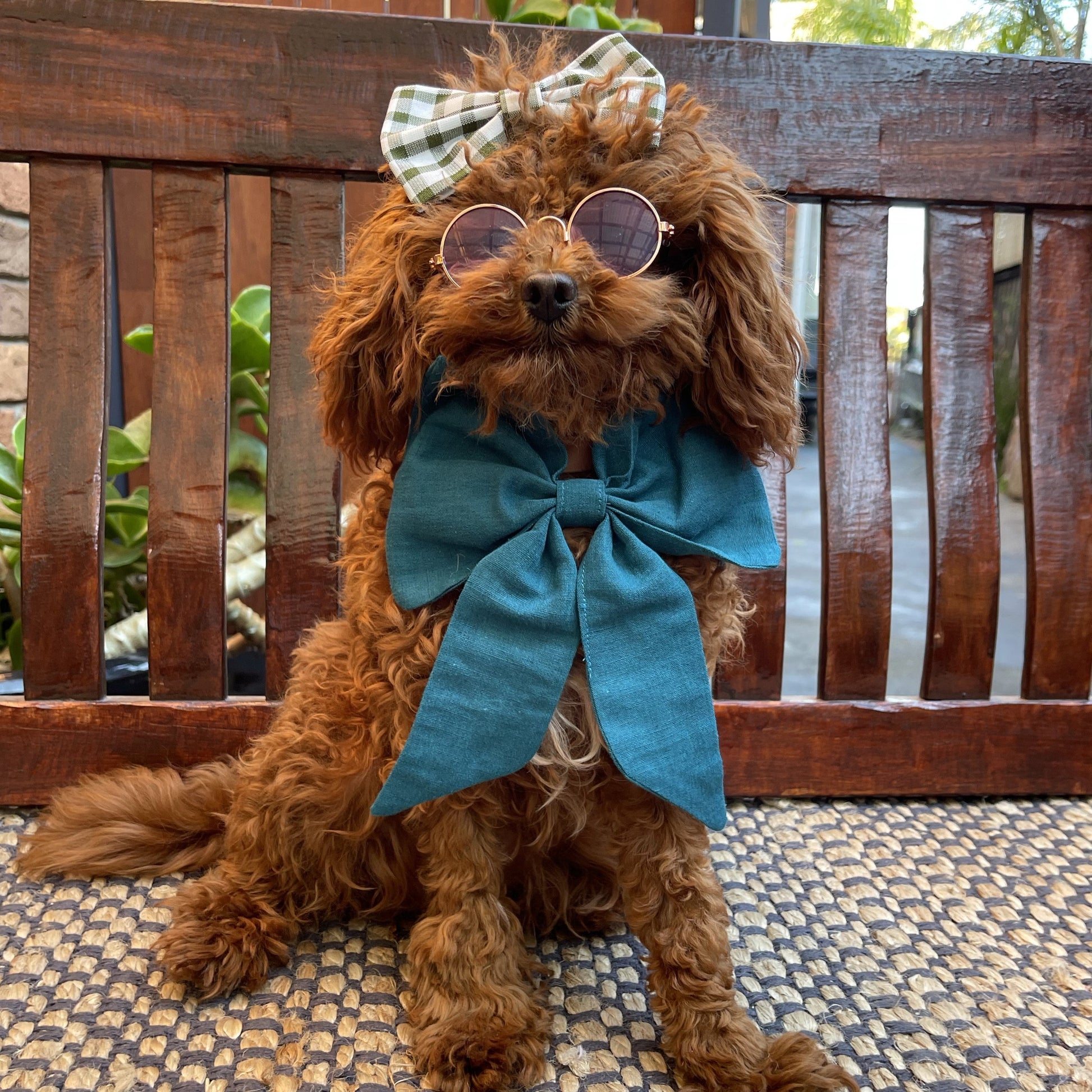 dog sailor bow blue