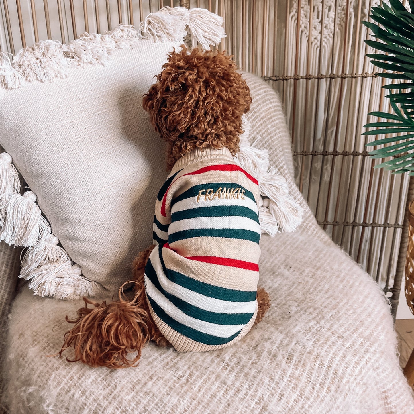 Harper Personalised Dog Cardigan