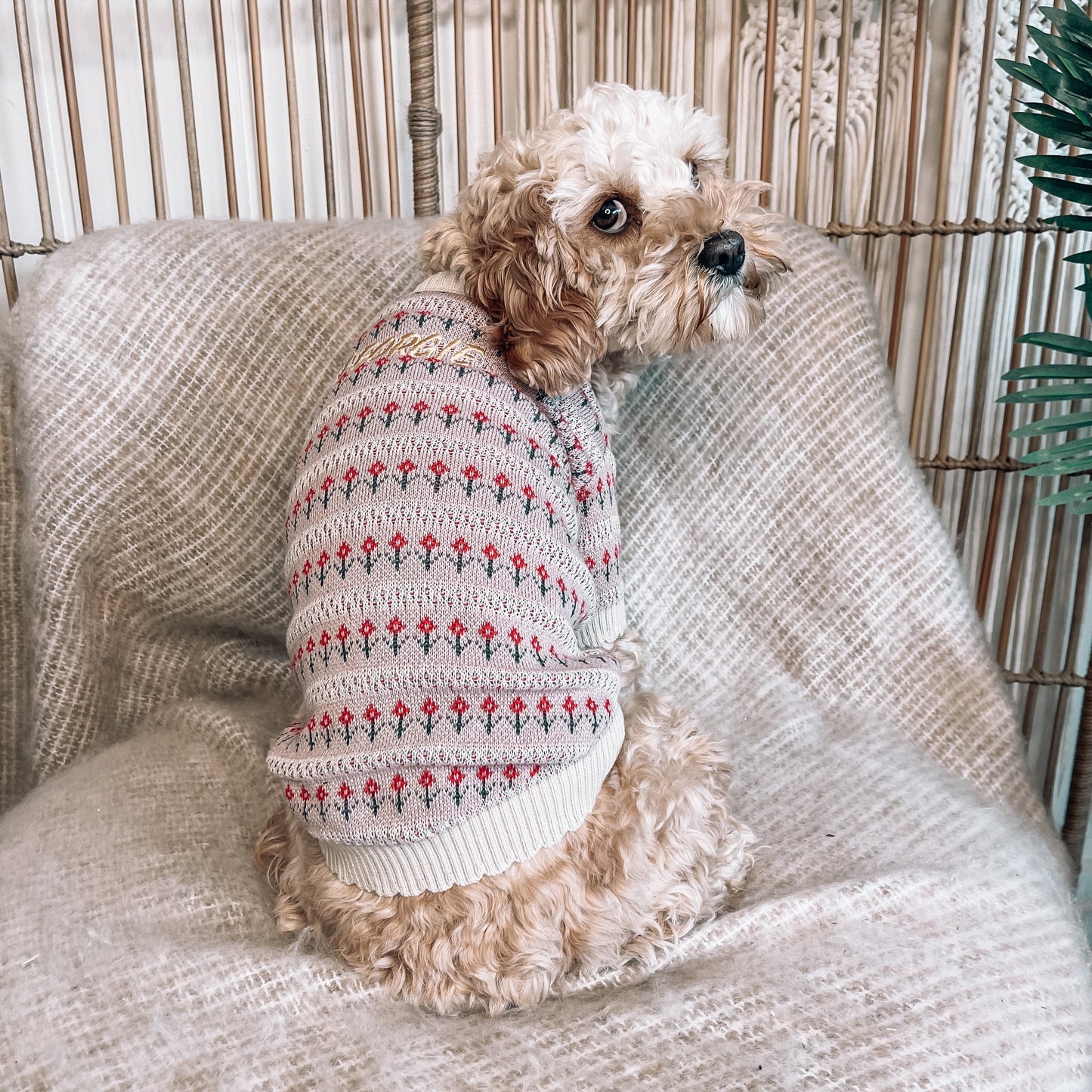 Finley Personalised Dog Cardigan