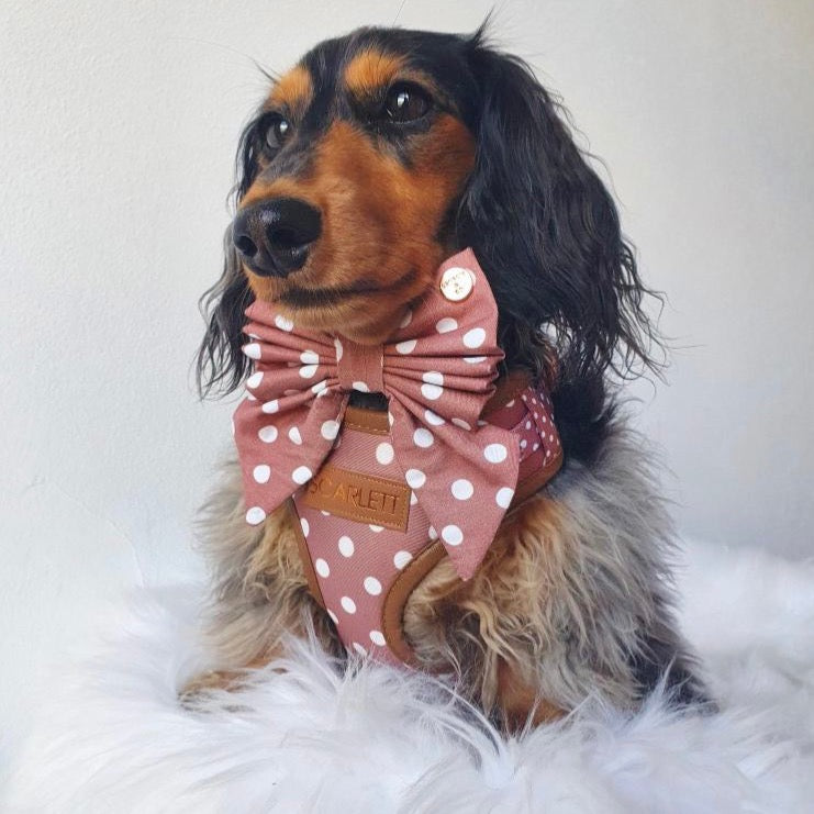 Brantley Polka Dot Personalized Harness Set