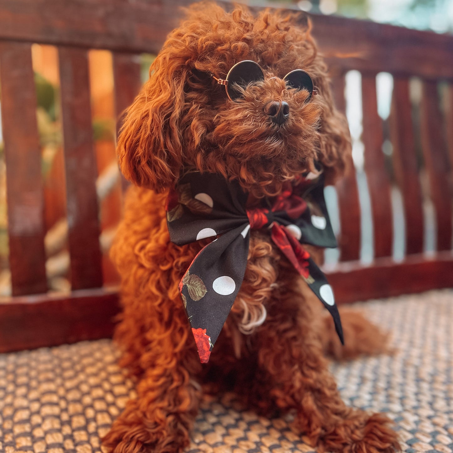 floral dog sailor bow tie