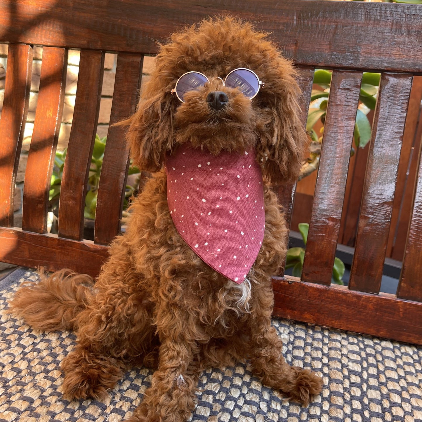 over the collar dog bandana