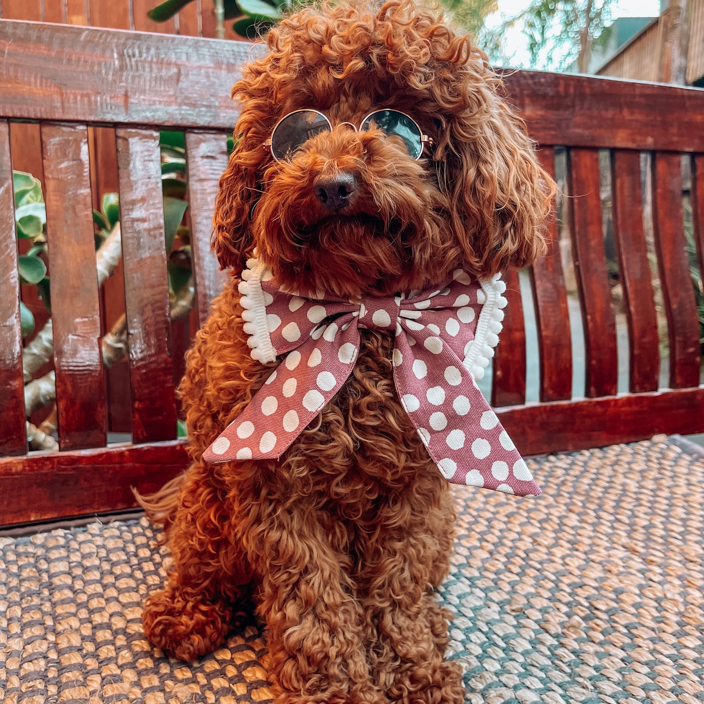 luxury sailor bow pink dog