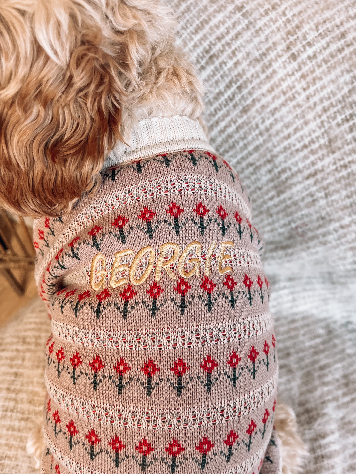 Finley Personalised Dog Cardigan