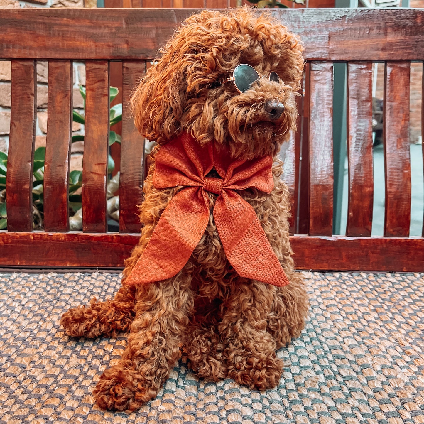 Emerson Over the Collar Rusty Orange Bow
