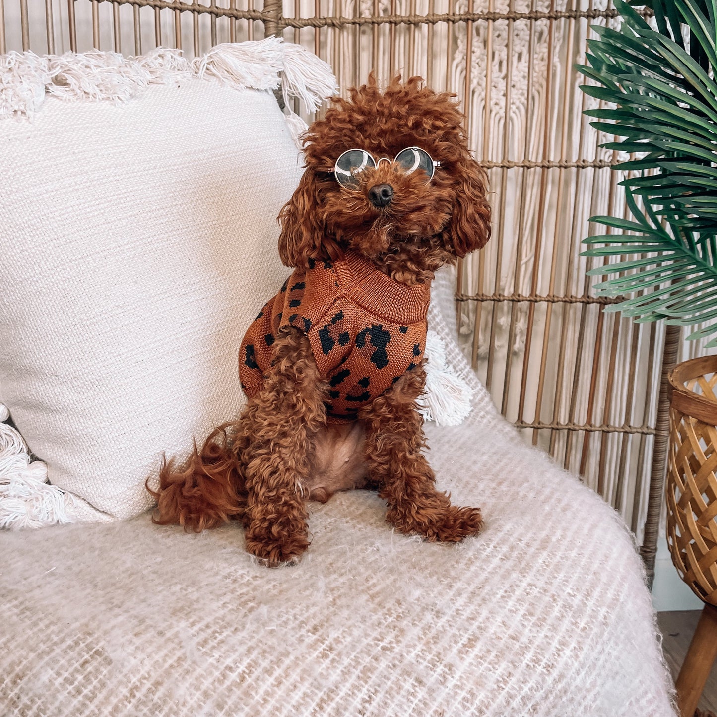 Dawson Personalised Dog Cardigan