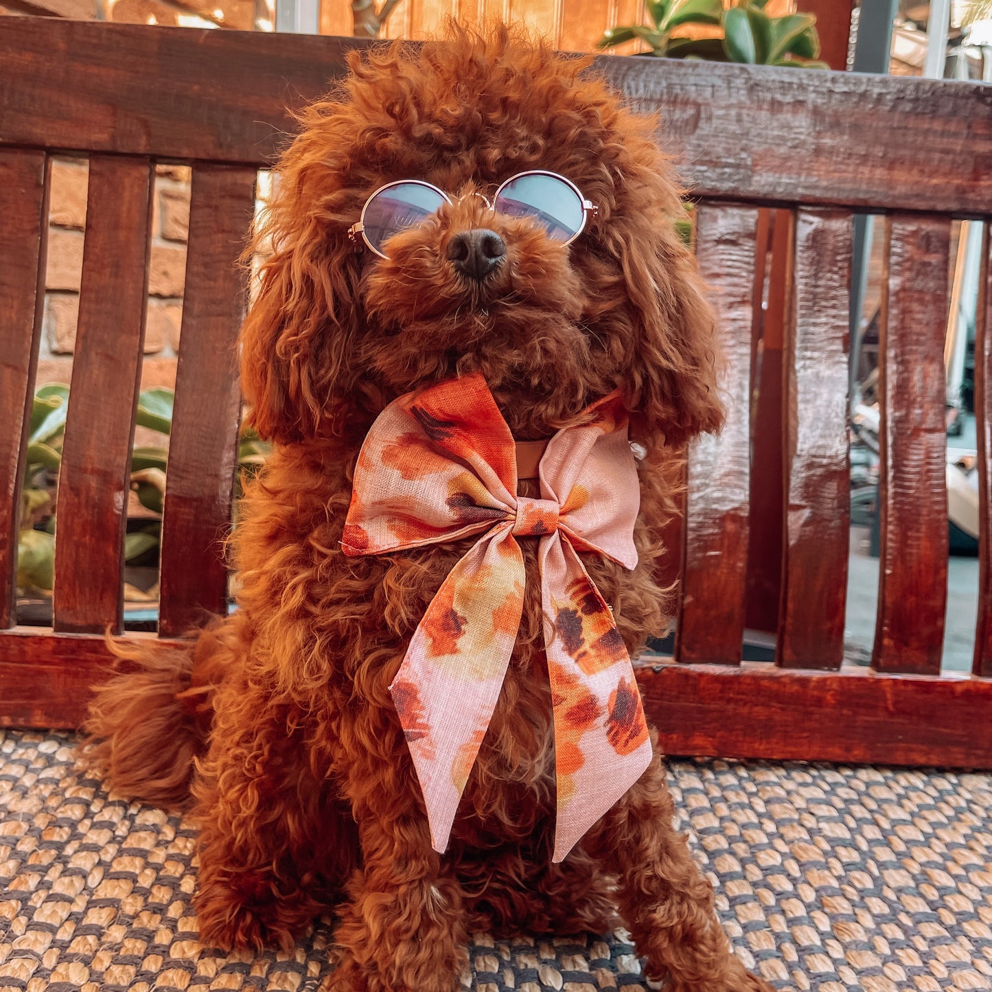dog sailor bow tie
