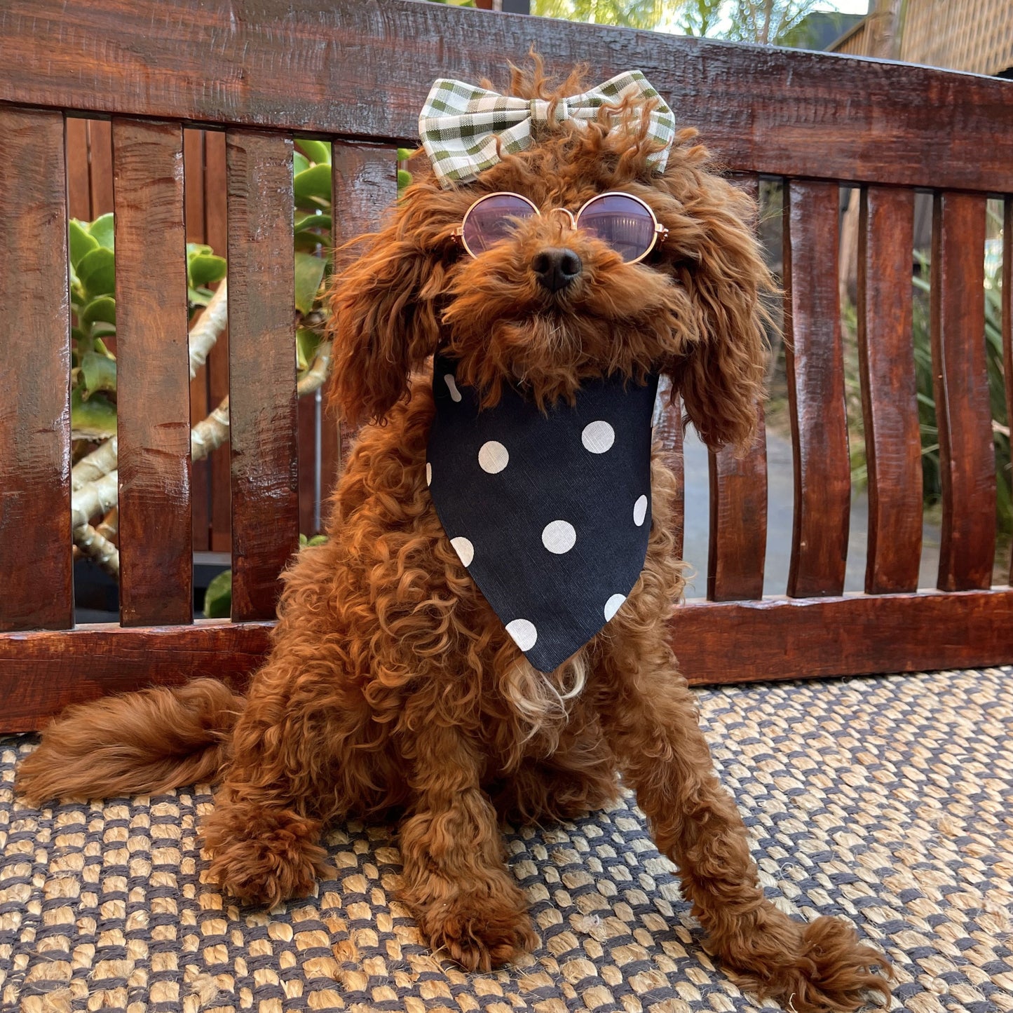 navy blue polka dot dog bandana