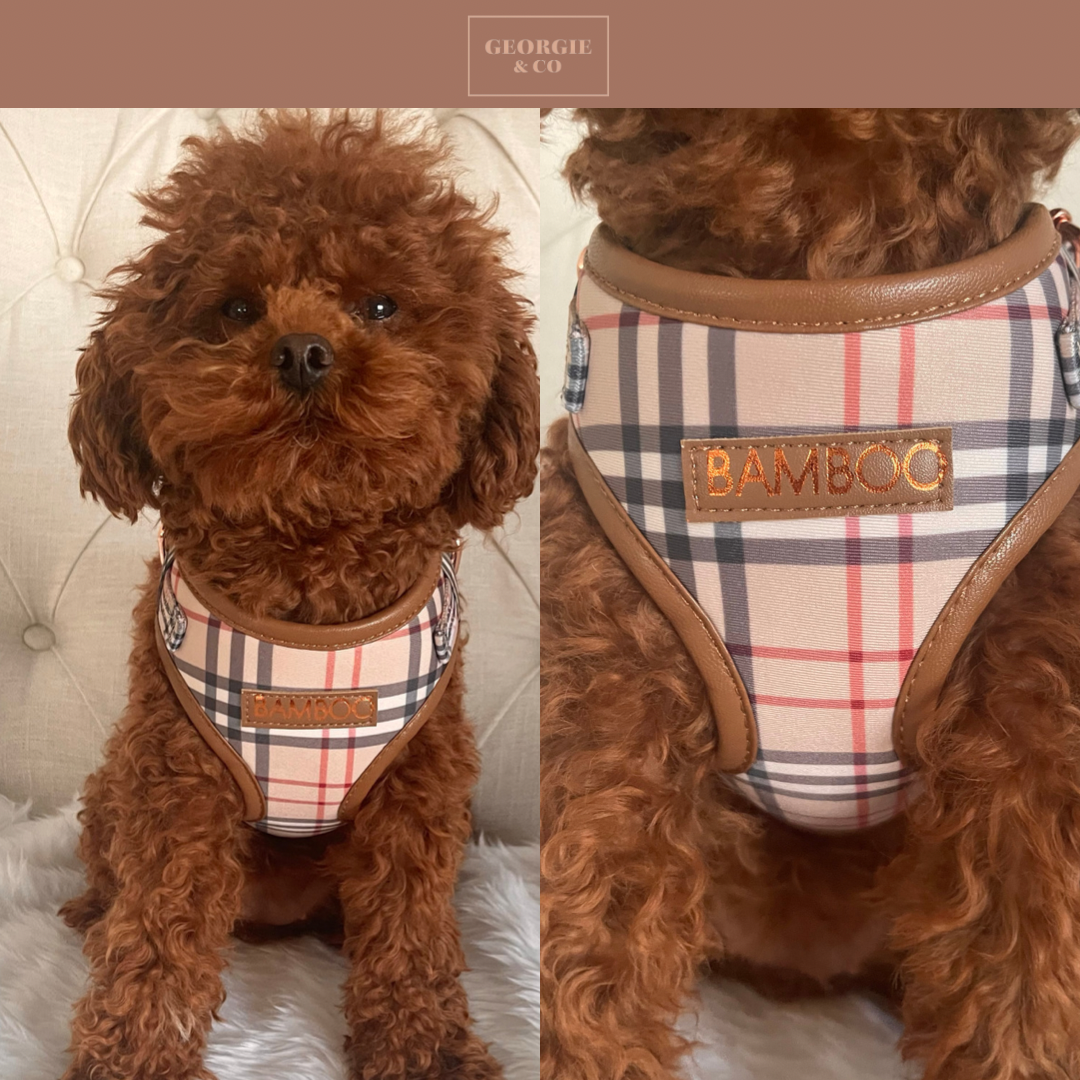 Shiloh Tartan Luxury Harness