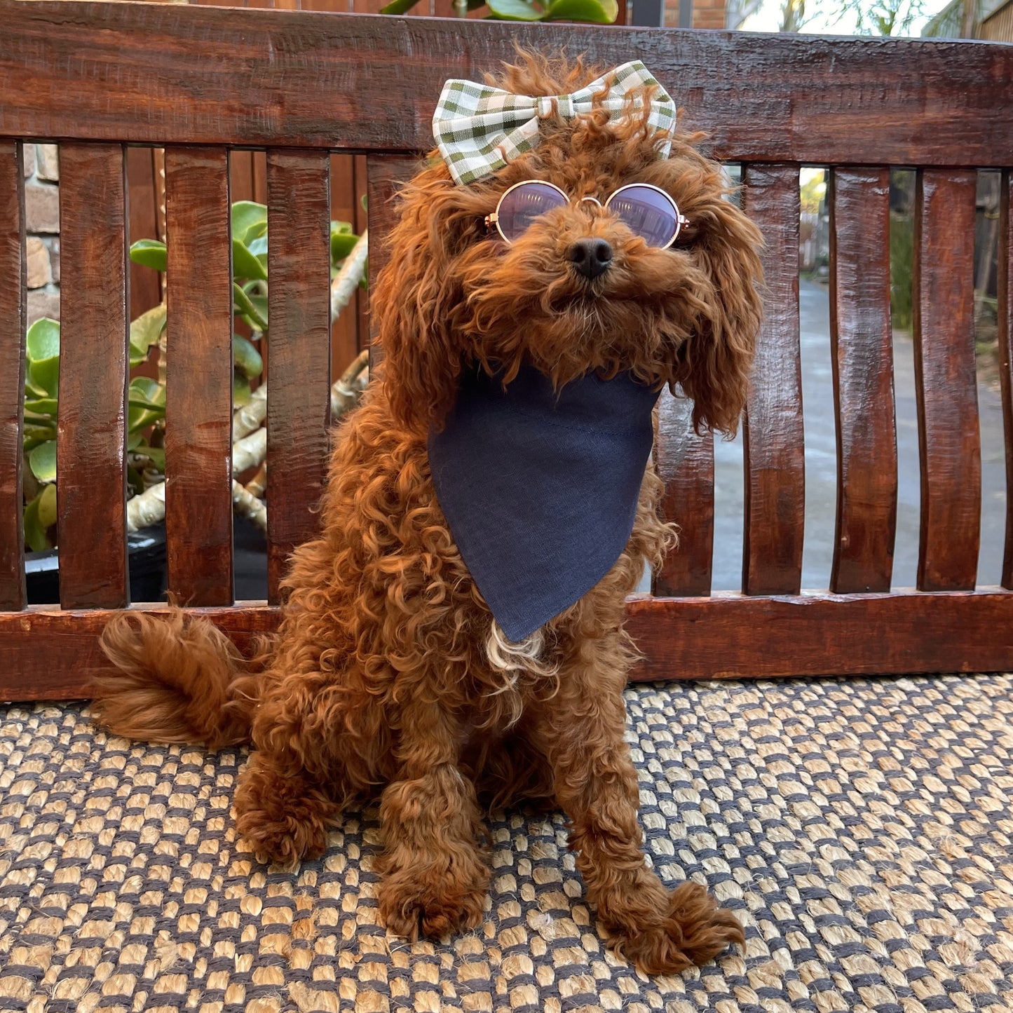 blue dog bandana