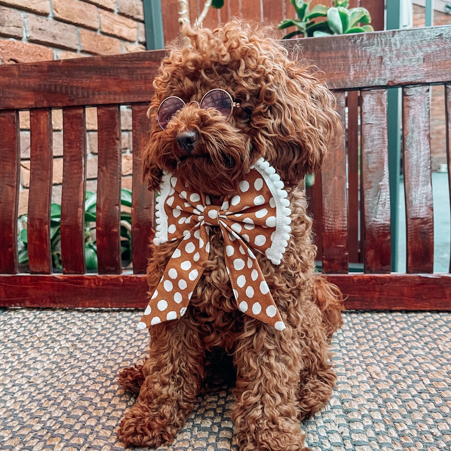 dog sailor bow tie