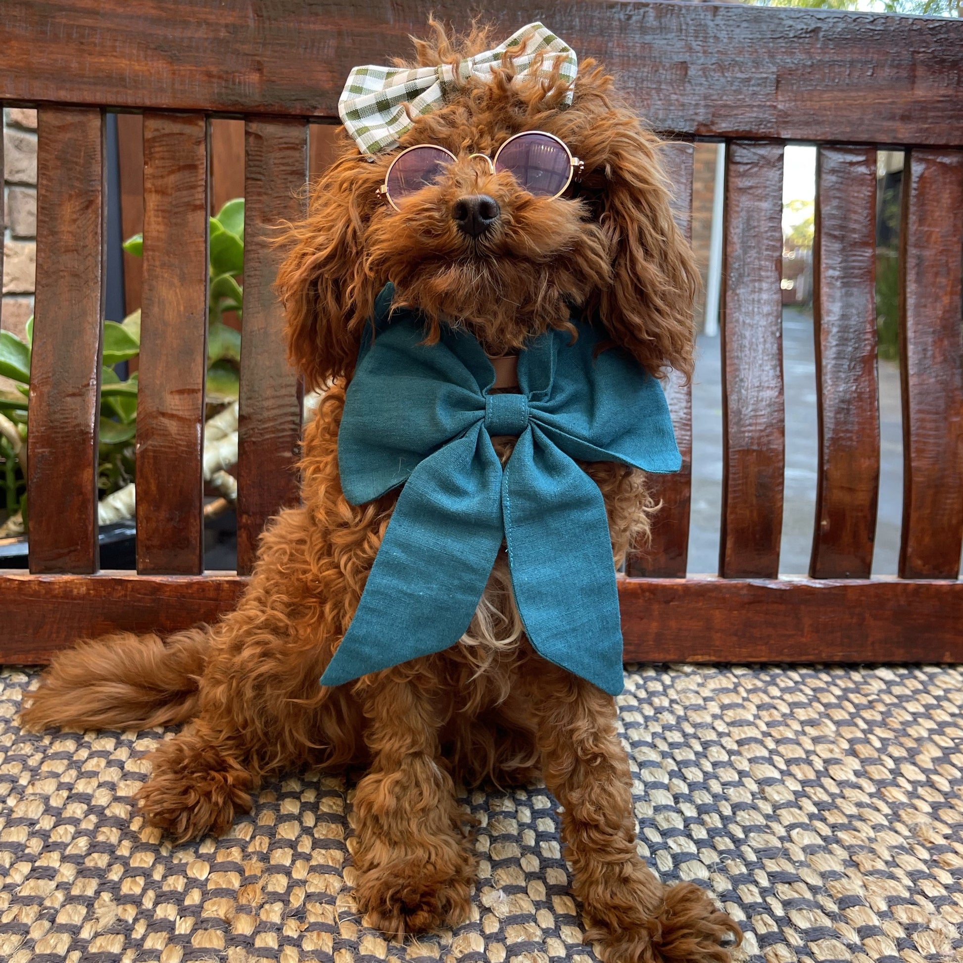 blue puppy sailor bow