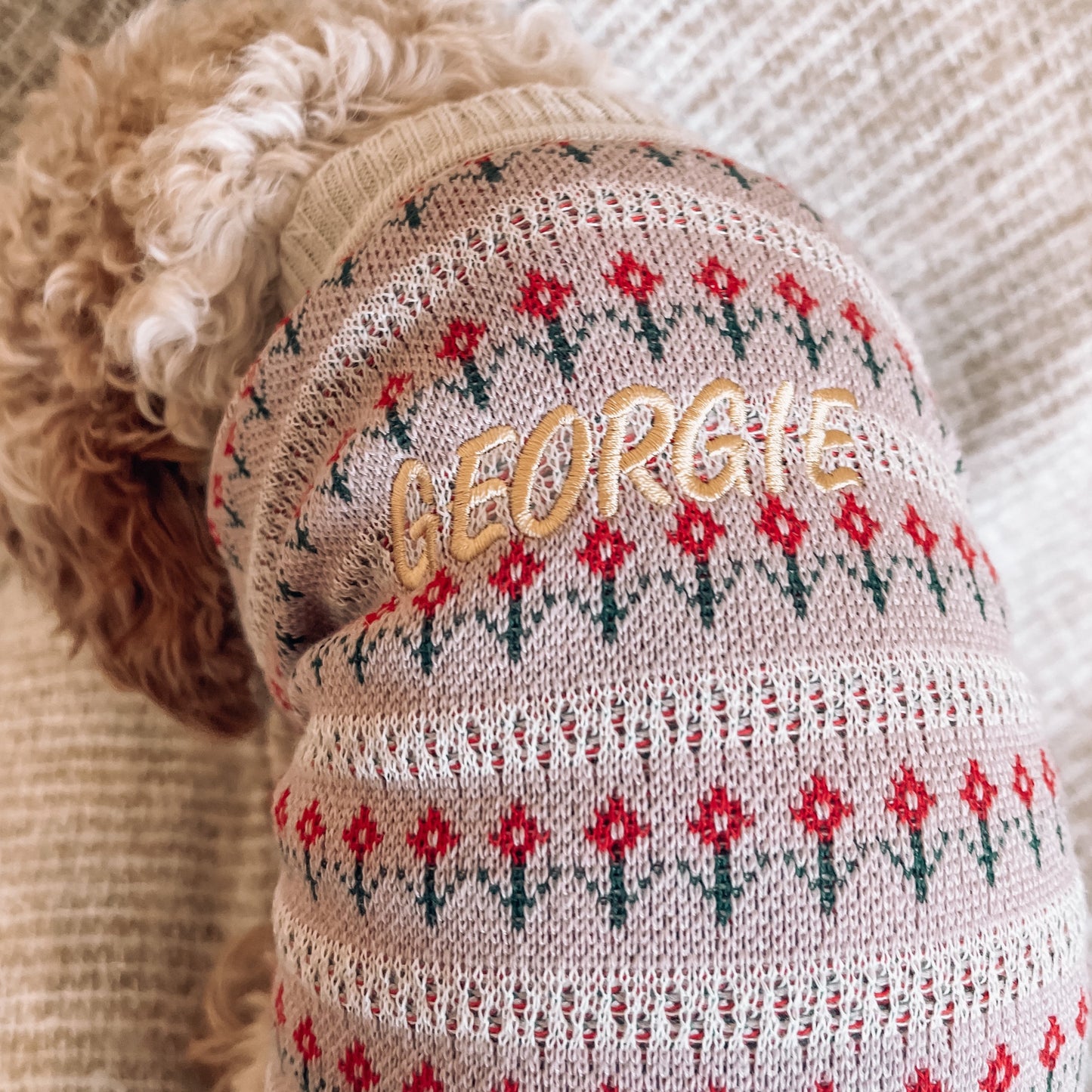 Finley Personalised Dog Cardigan