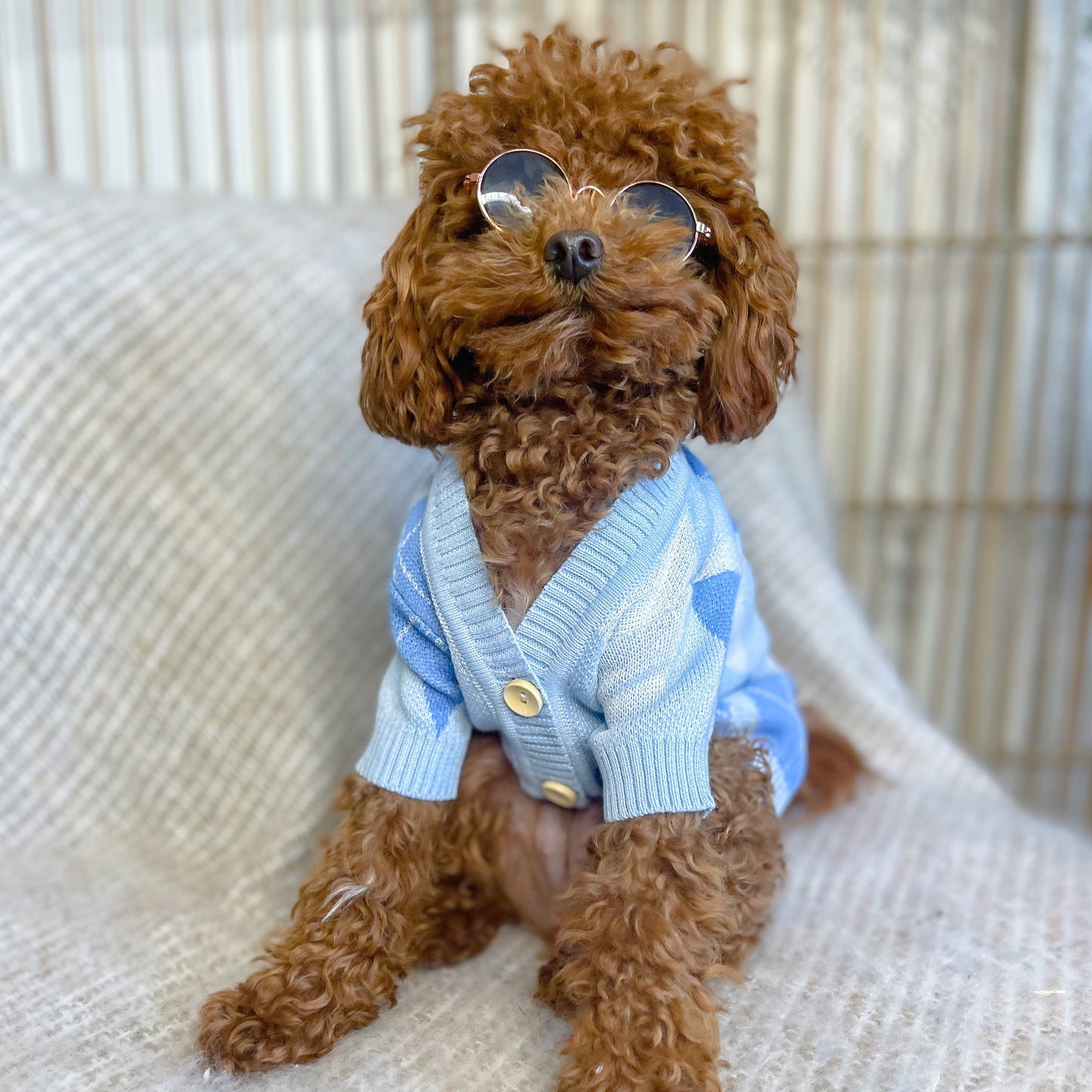 Archer Blue Personalised Dog Cardigan