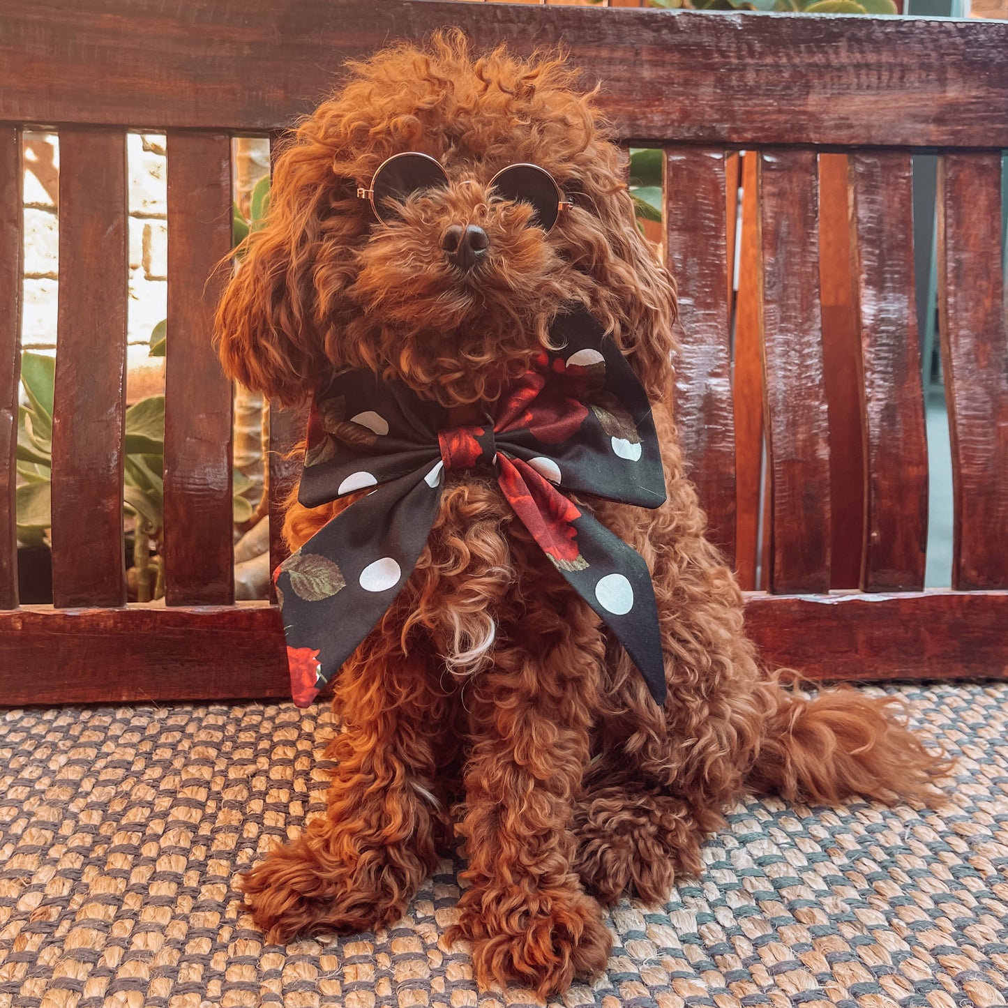 floral sailor bow tie puppy