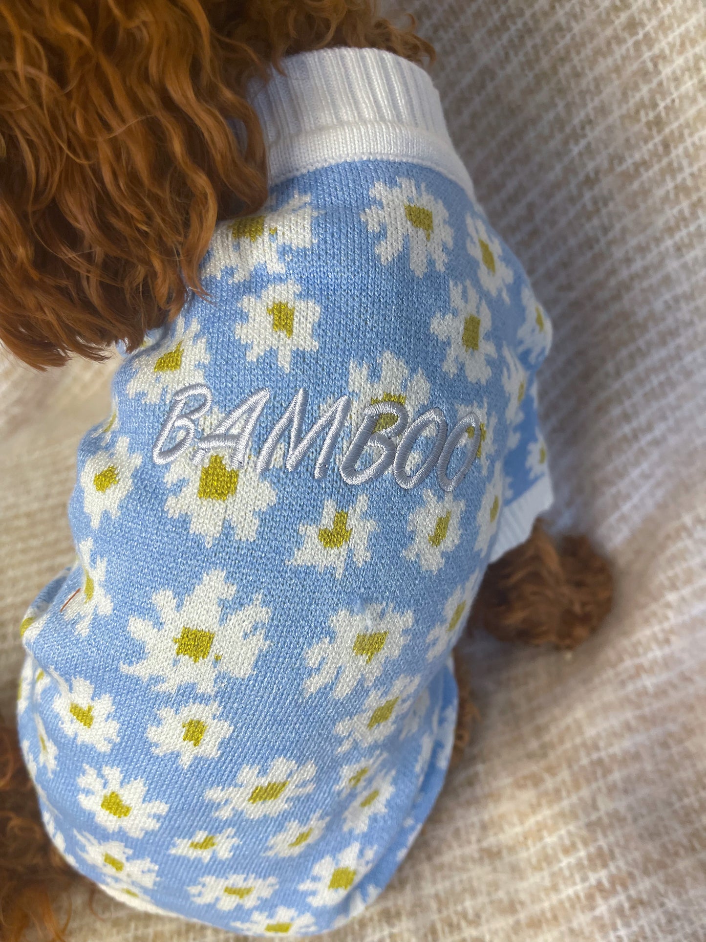 Lennox Personalised Dog Cardigan