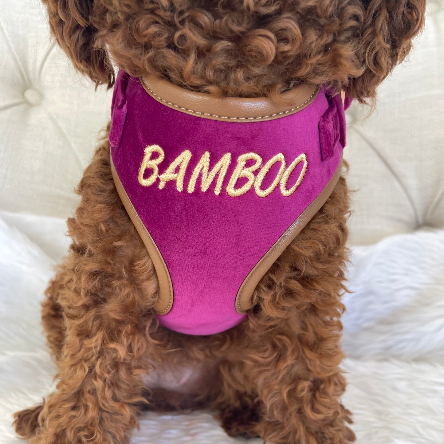Layla Luxury Fuchsia Velvet Personalised Harness Set
