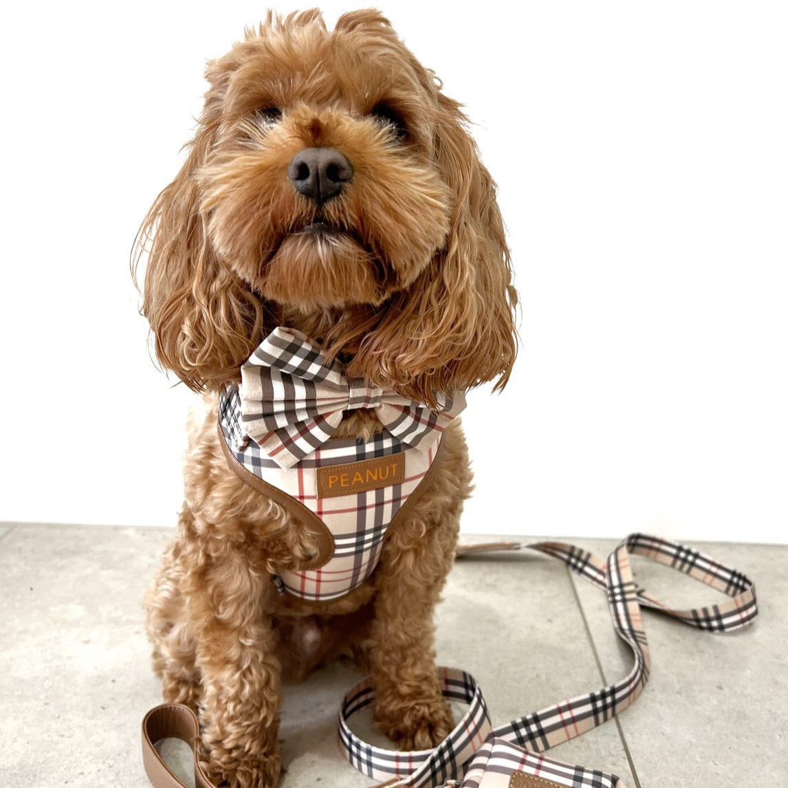 Shiloh Tartan Luxury Harness