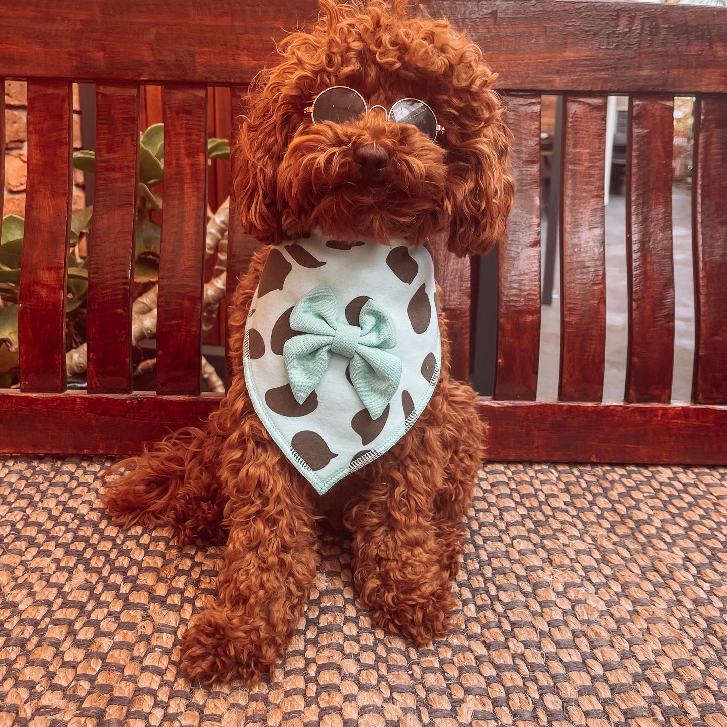 blue dog bandana