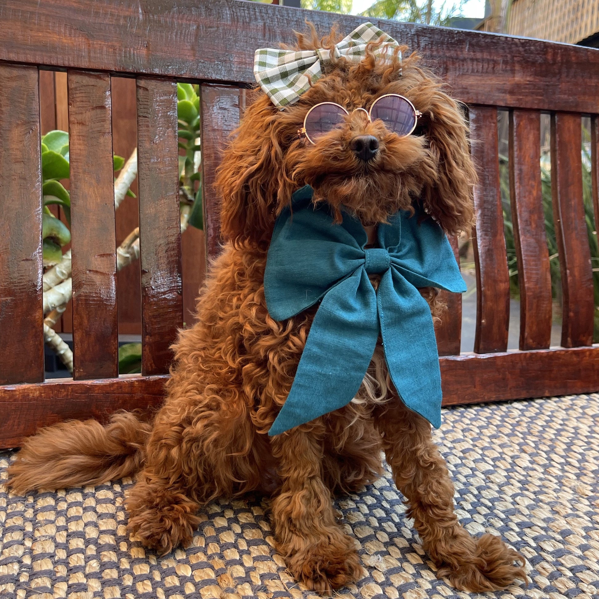 puppy blue sailor bow