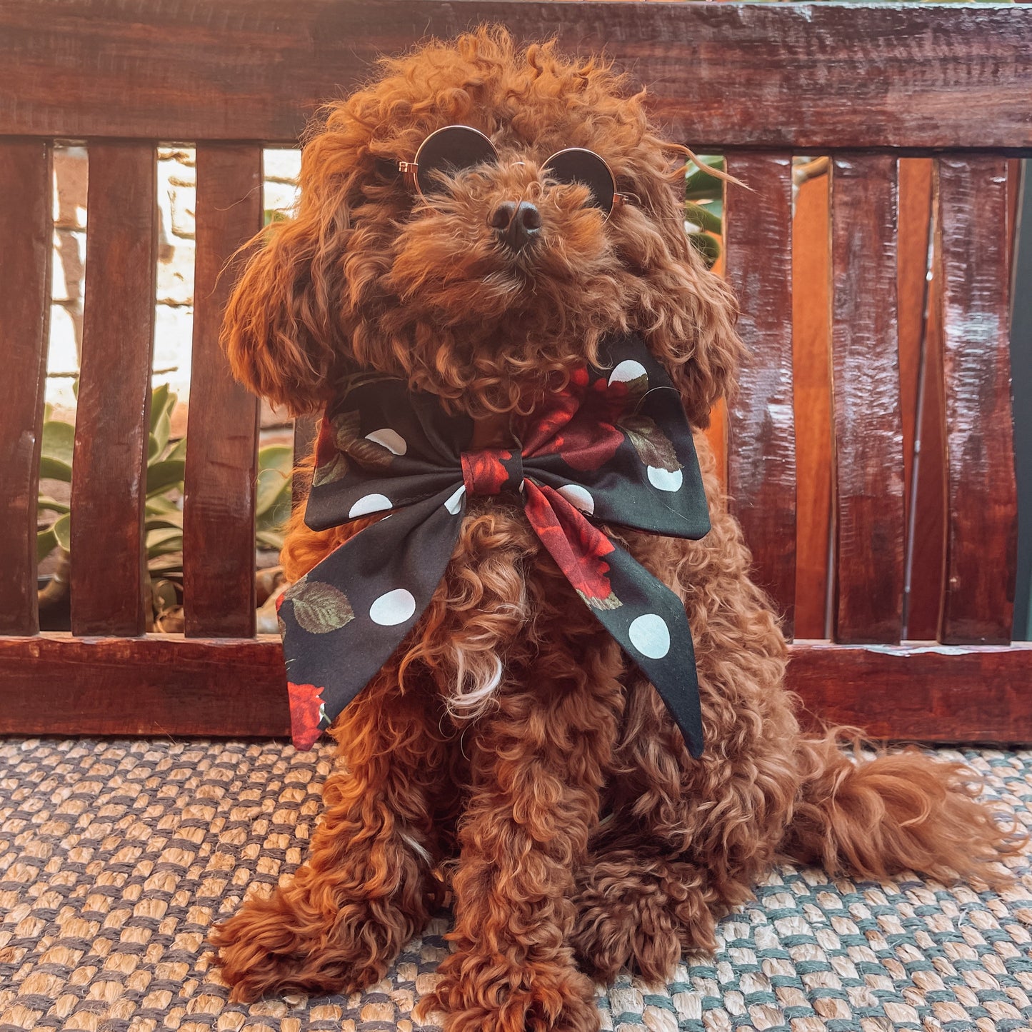 floral sailor bow tie puppy