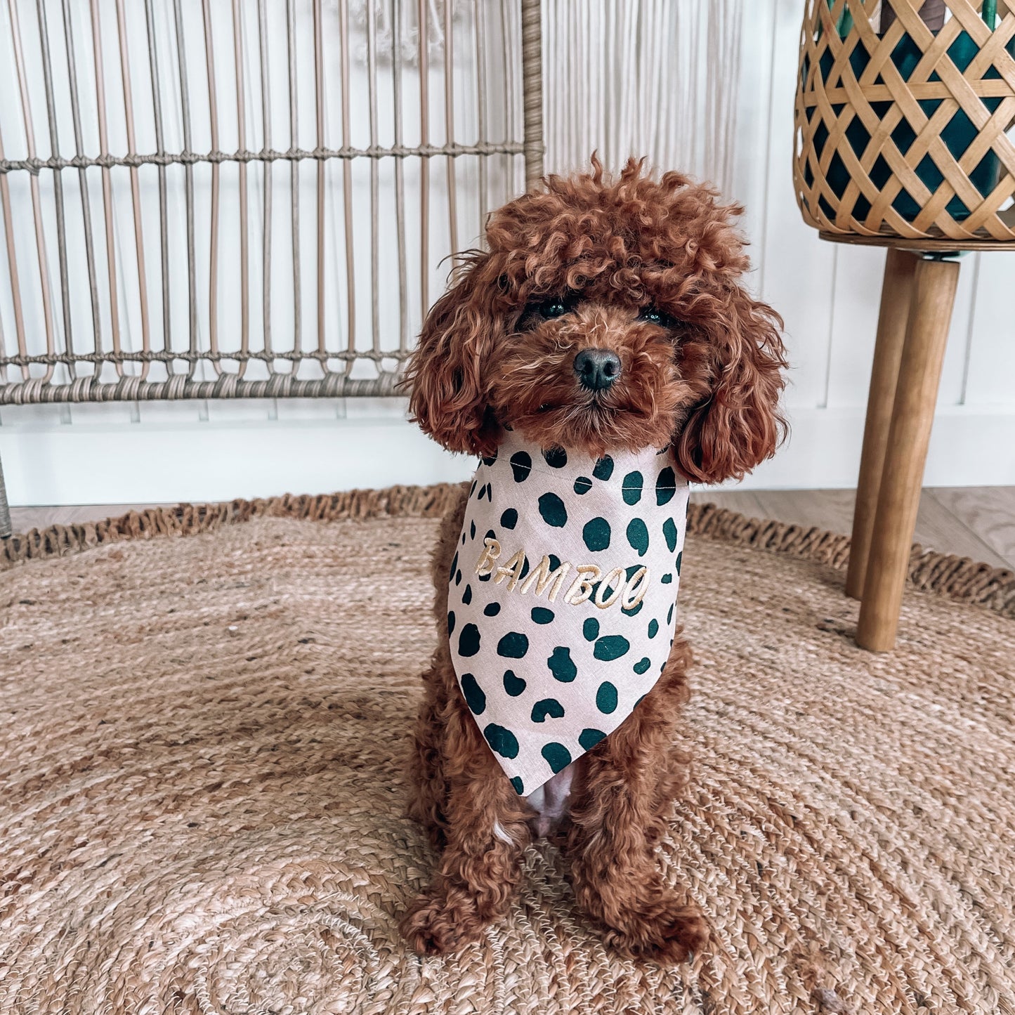 leopard over the collar dog bandana