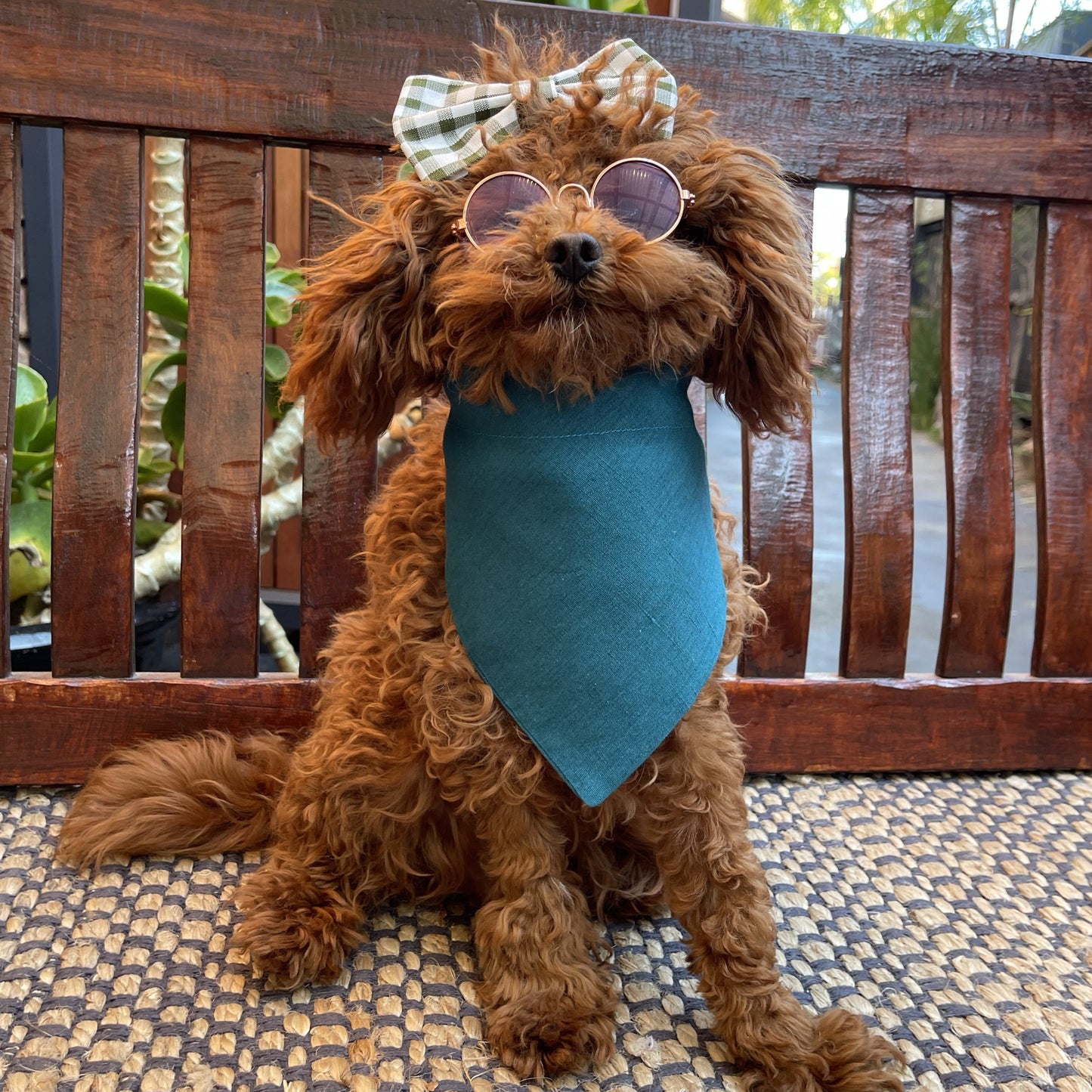 blue dog bandana