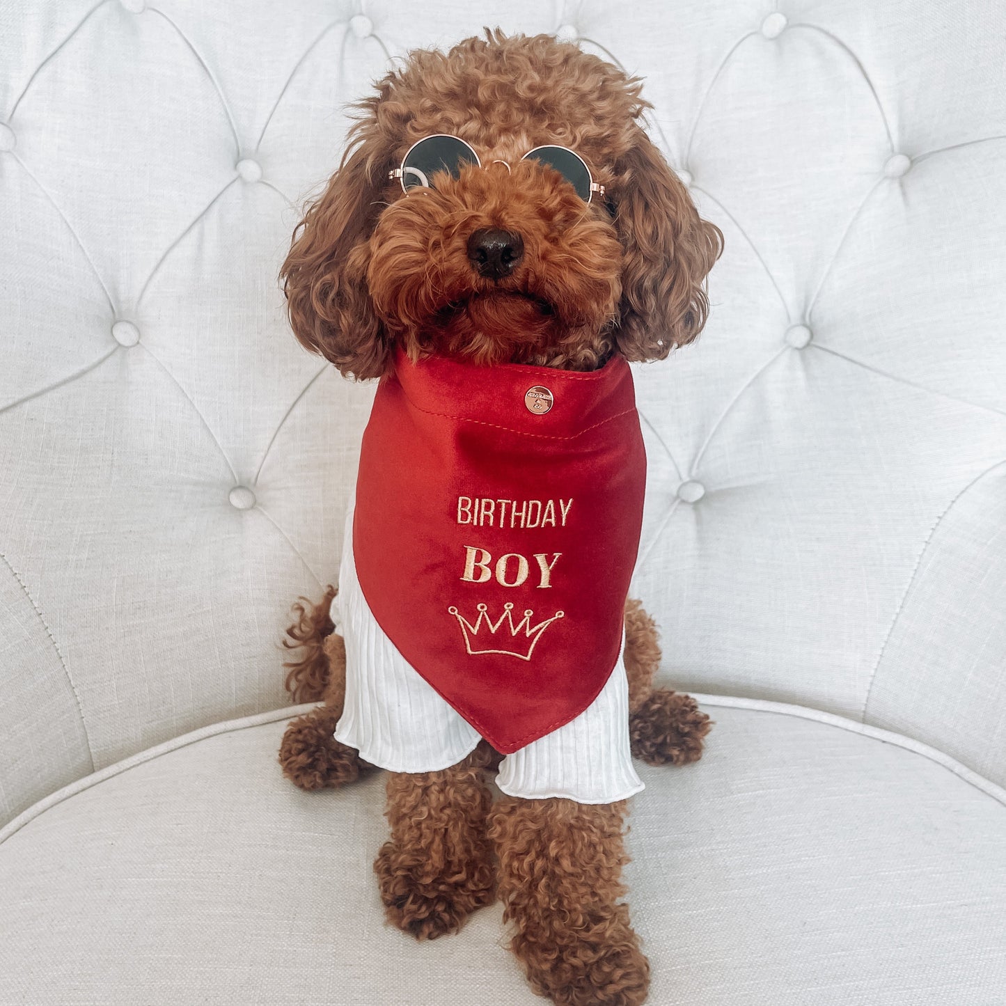 Sadie Birthday Boy Red Velvet Bandana