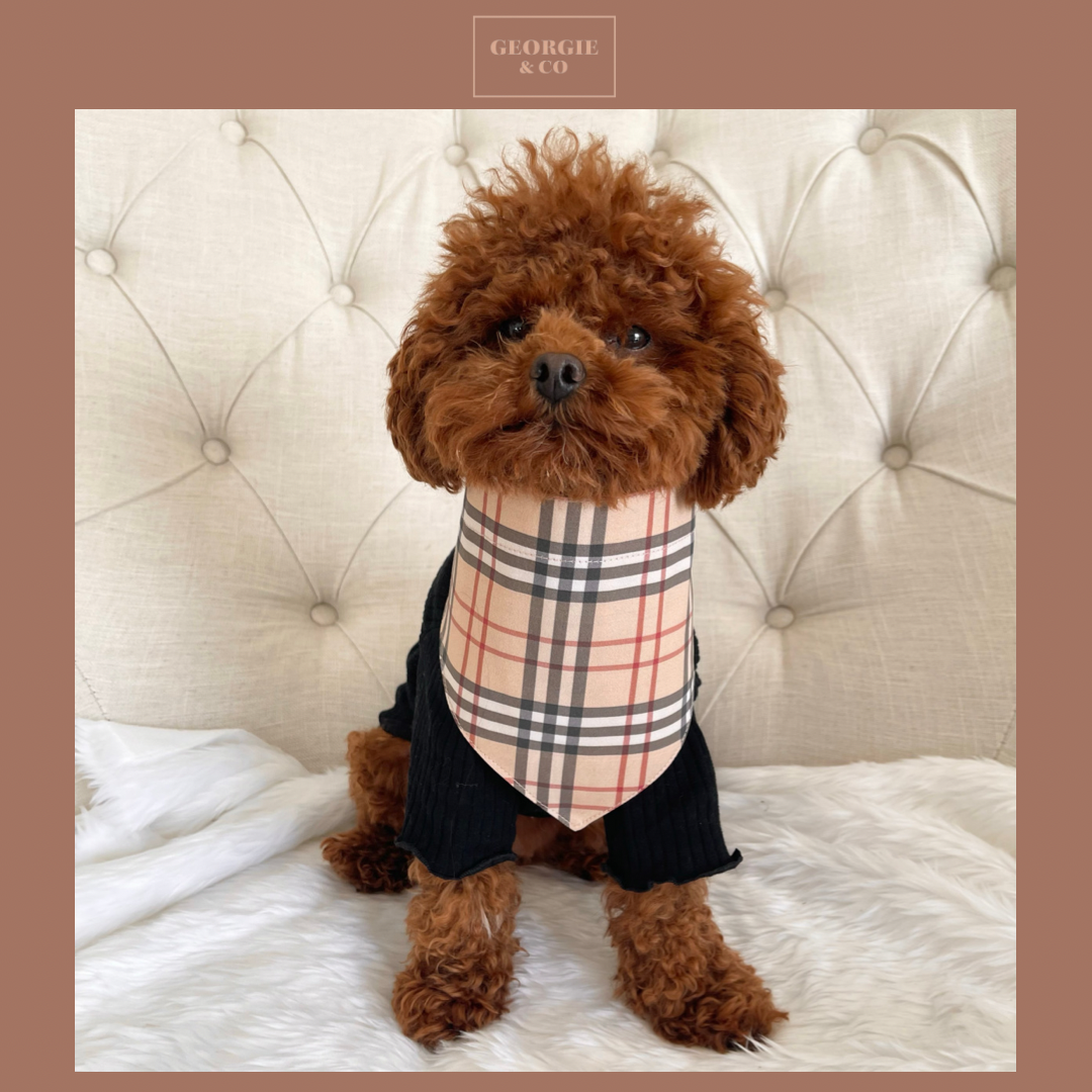 Shiloh Tartan Bandana