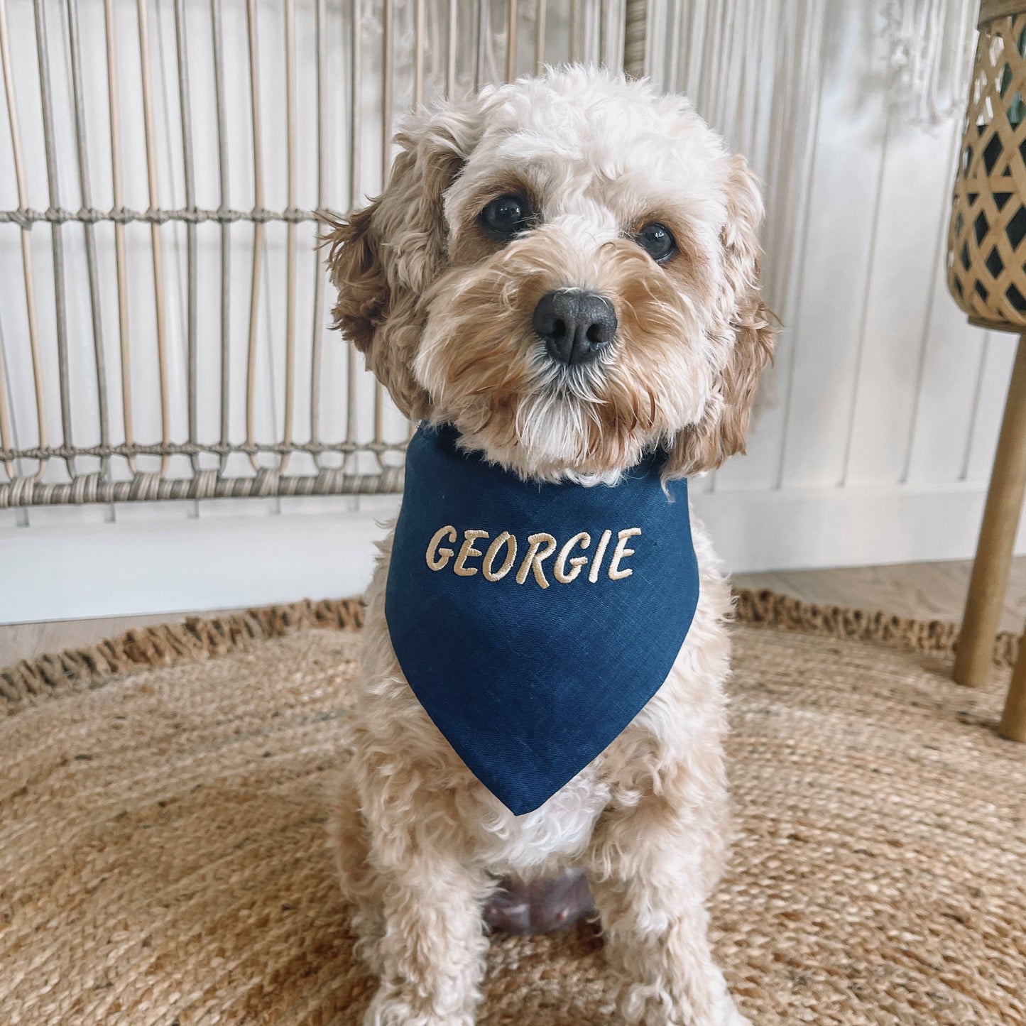 embroidered dog bandana