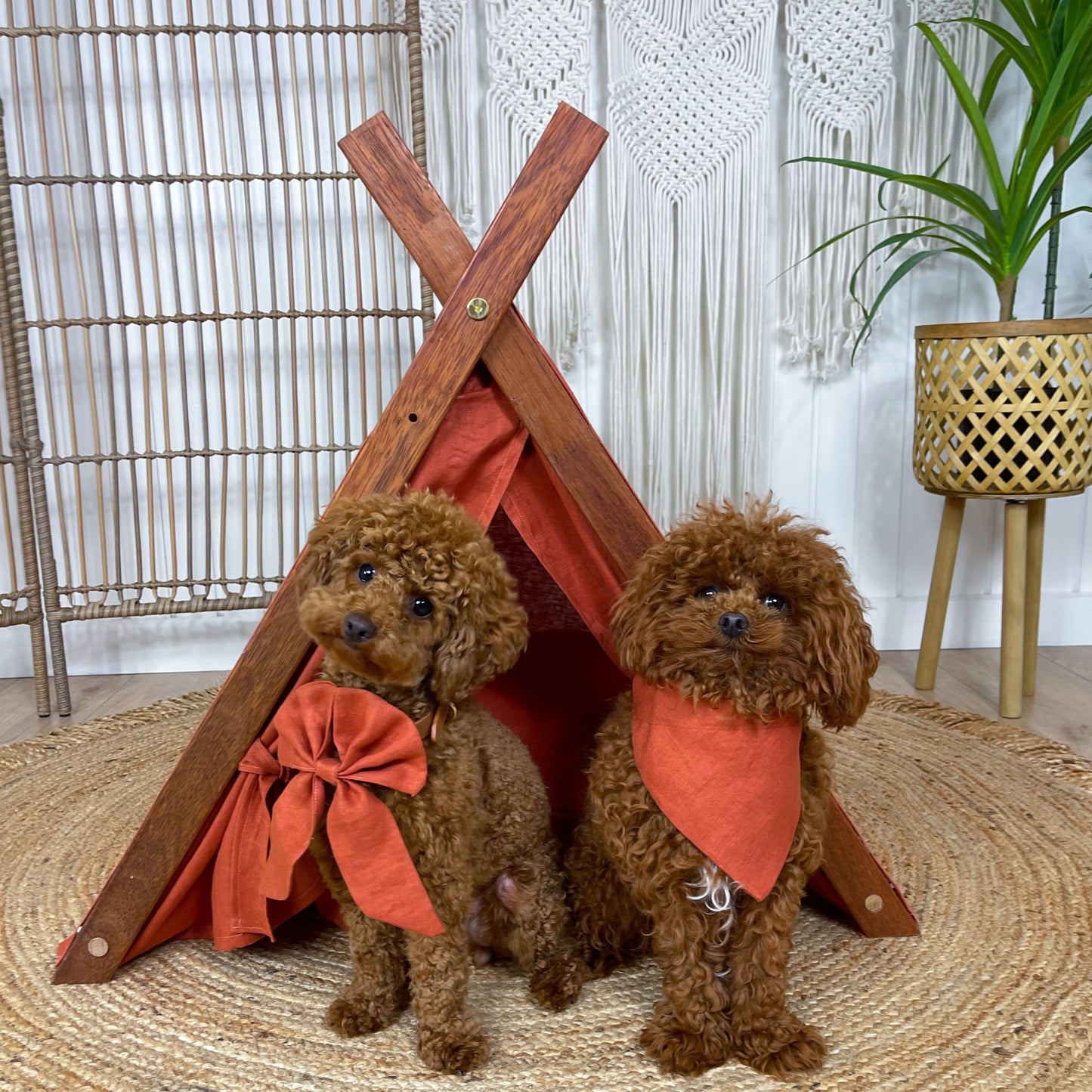 Isla Rusty Puppy Tent