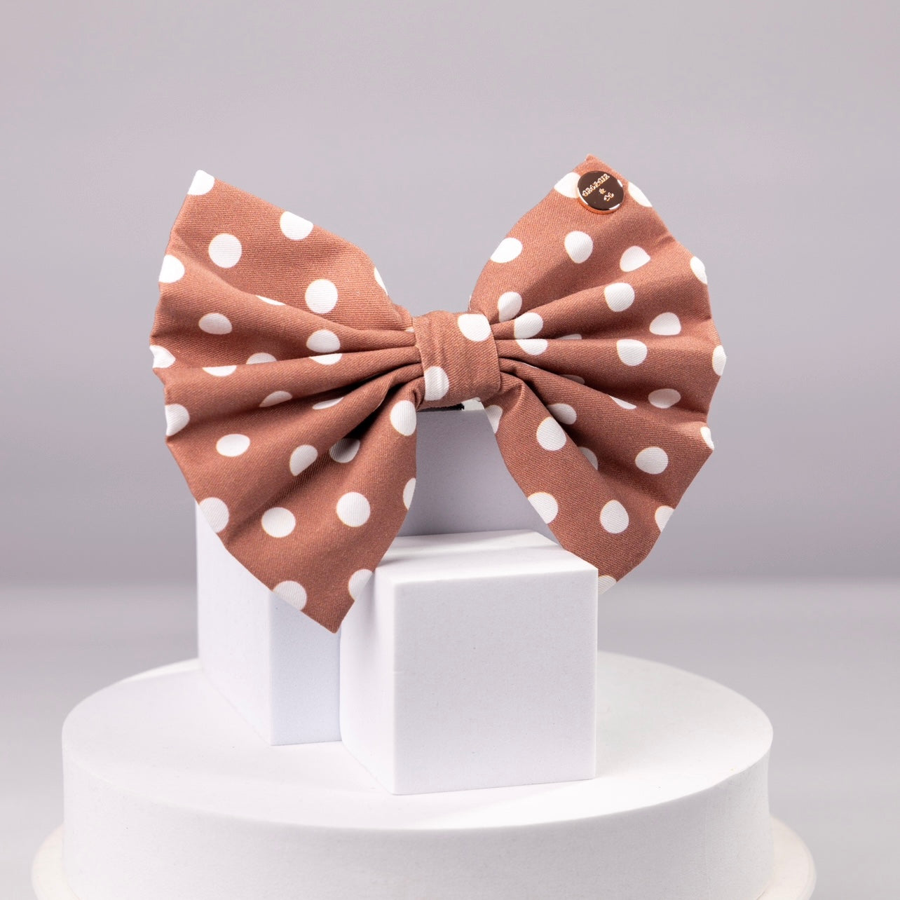 Brantley Polka Dot Standard Bow