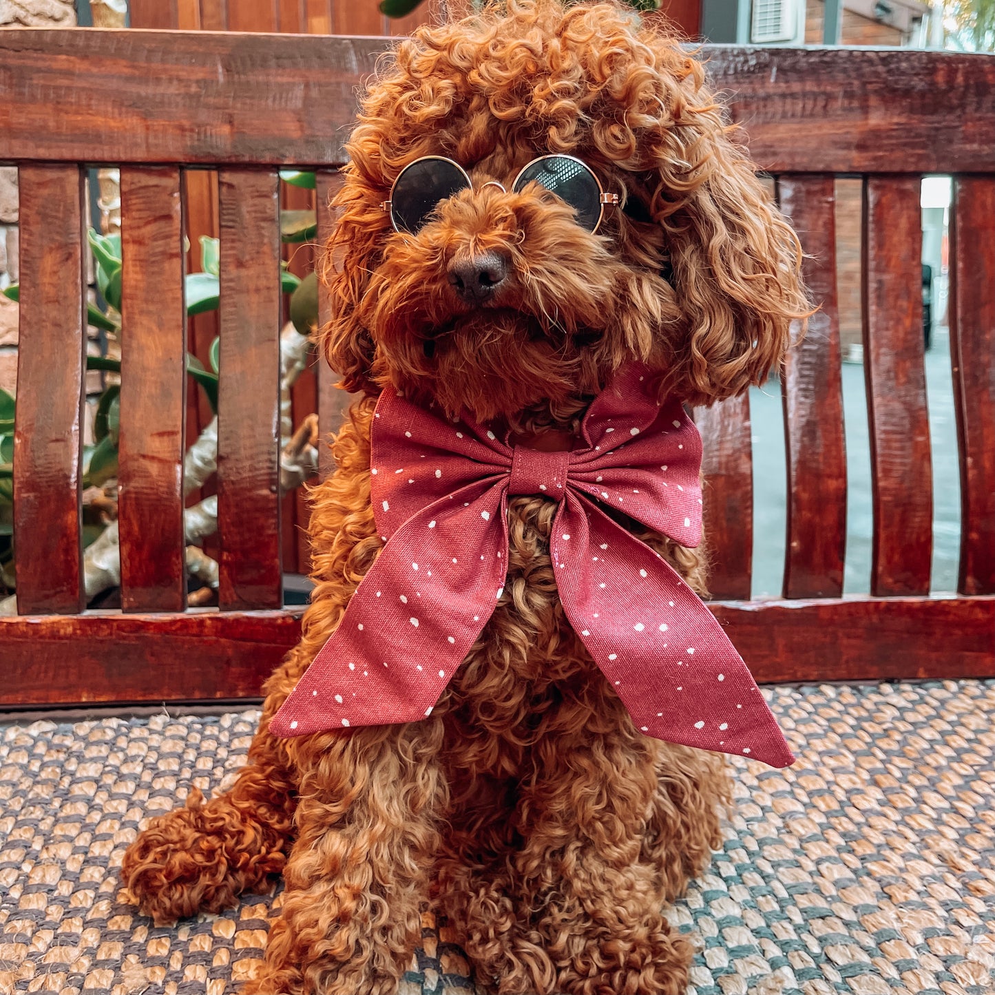 dog pink sailor bow