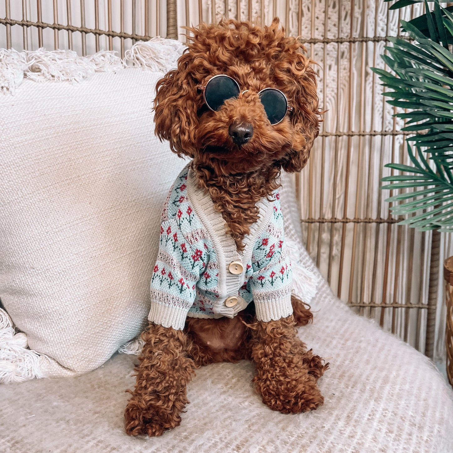 Mason Personalised Dog Cardigan