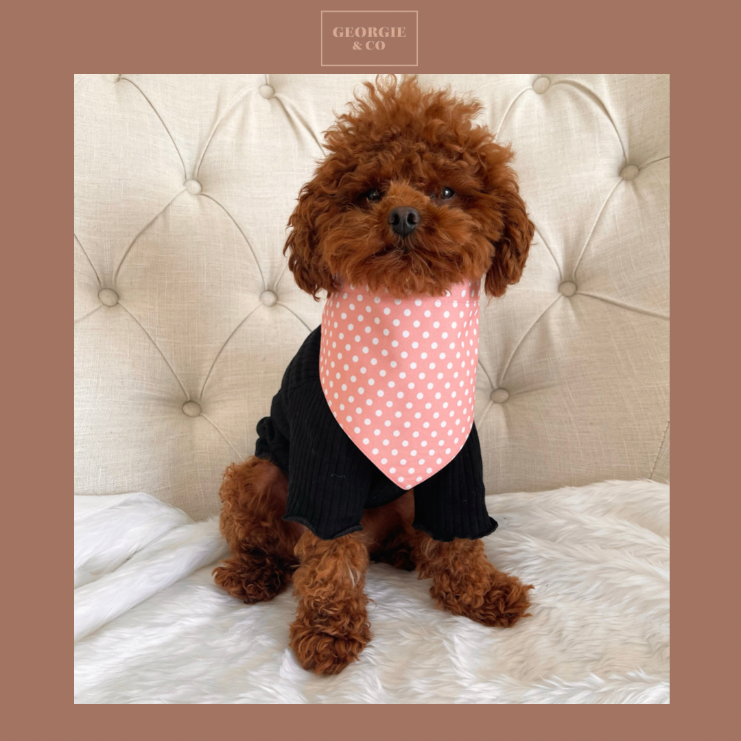 Melody Polka Dot Bandana