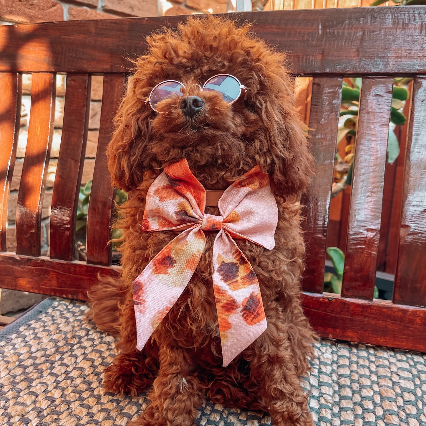 boho dog sailor bow