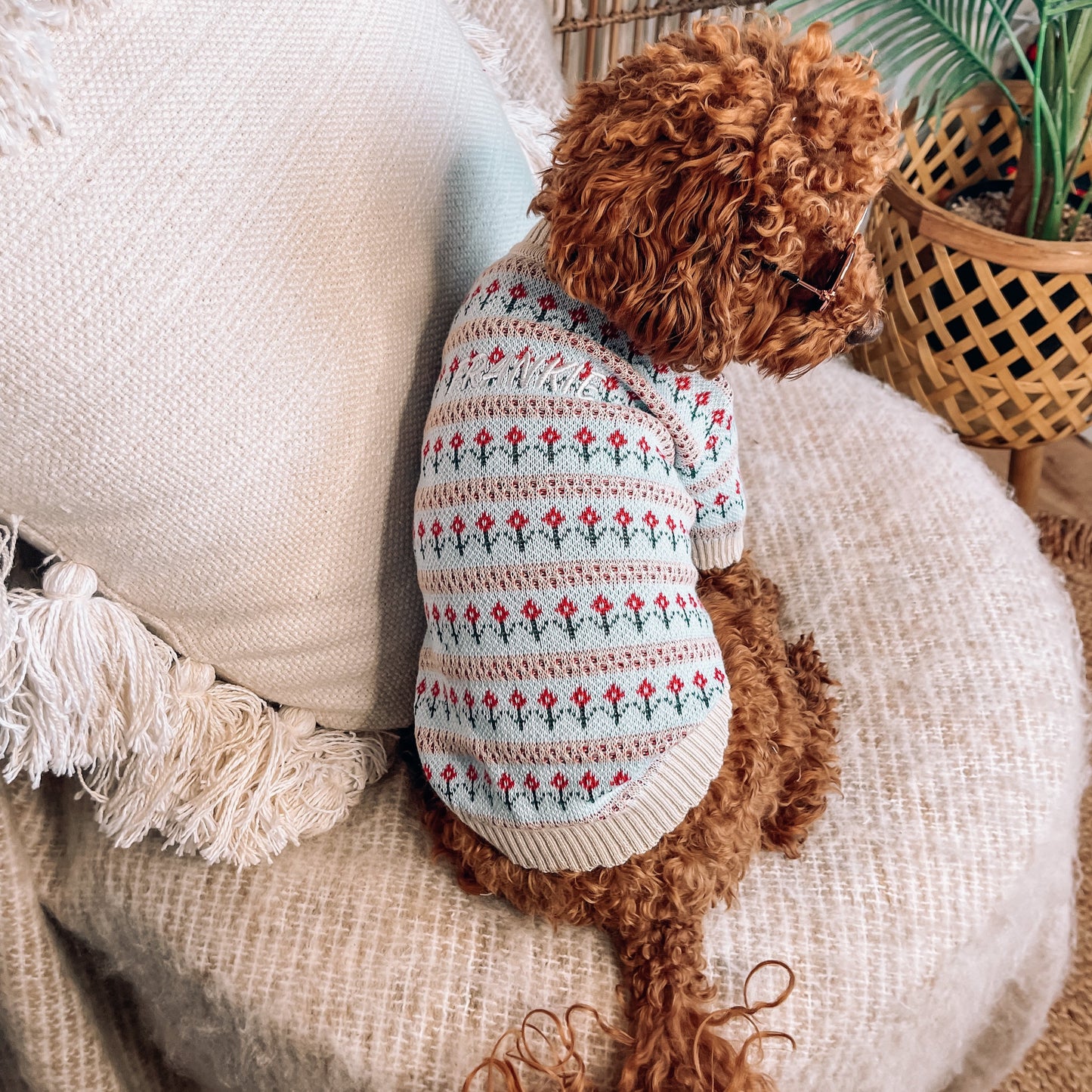 Mason Personalised Dog Cardigan