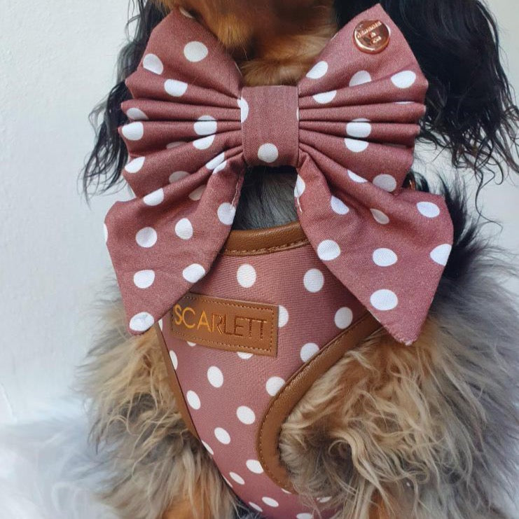 Brantley Polka Dot Personalized Harness Set