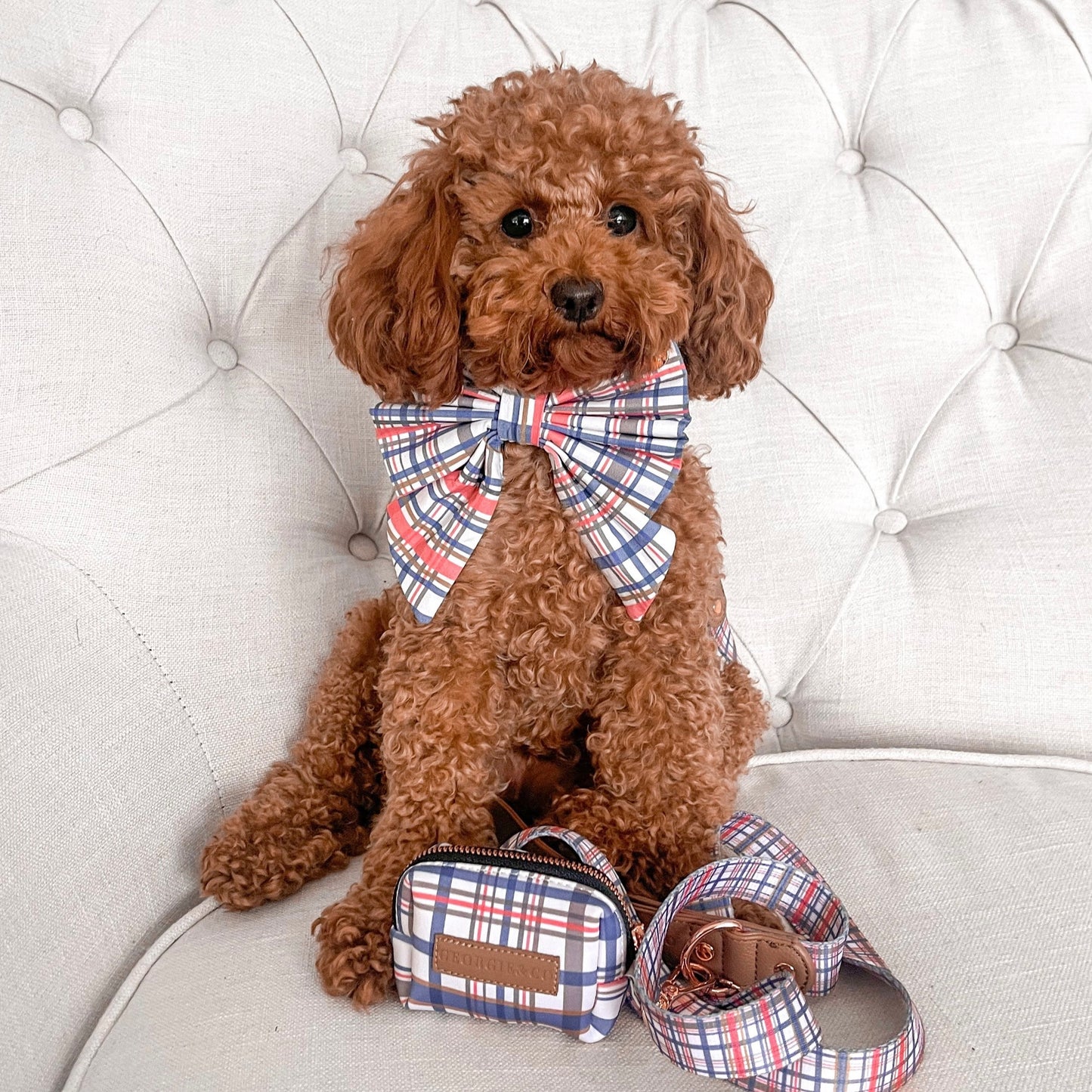 Azara Tartan Collar Set