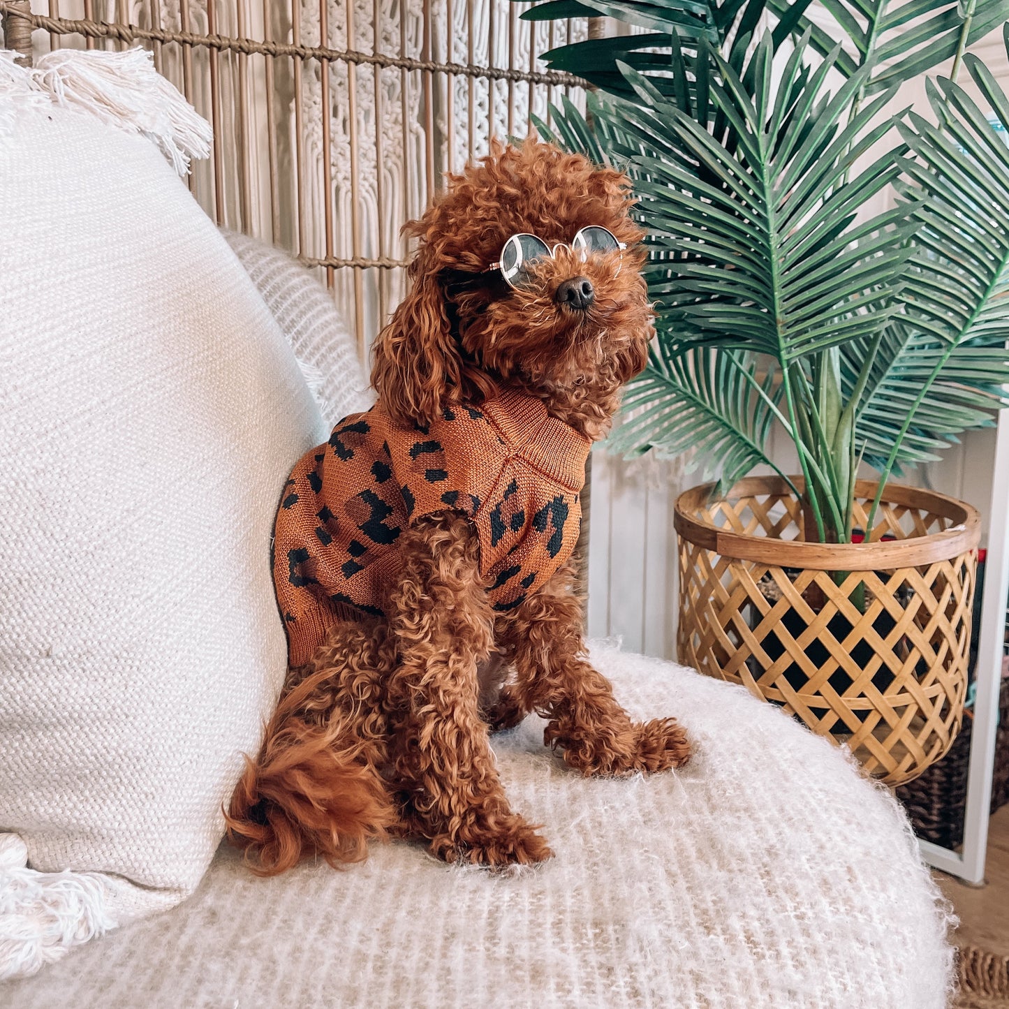 Dawson Personalised Dog Cardigan