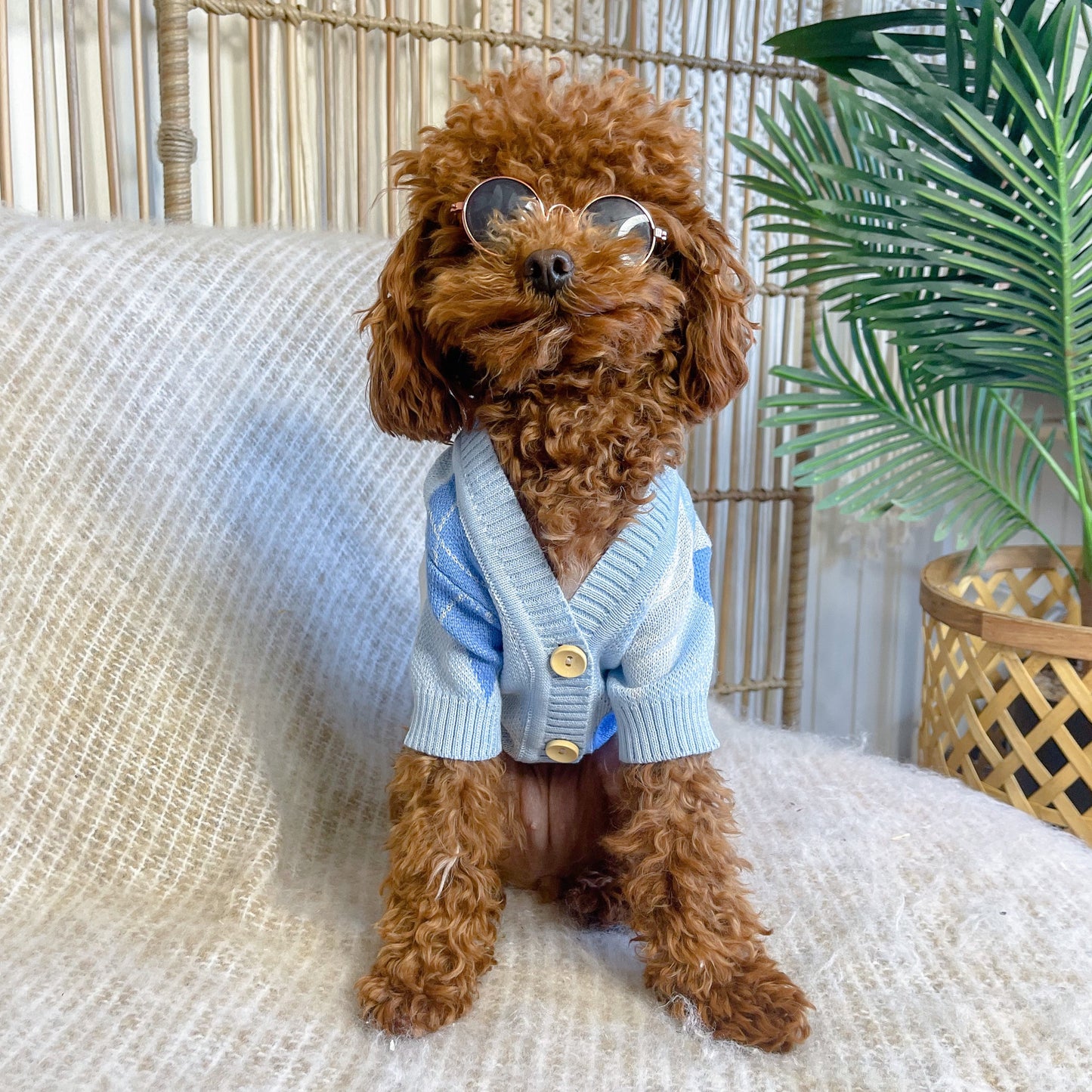 Archer Blue Personalised Dog Cardigan