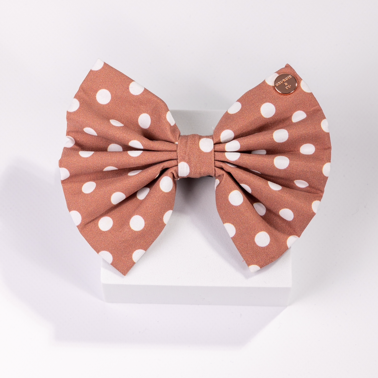Brantley Polka Dot Standard Bow