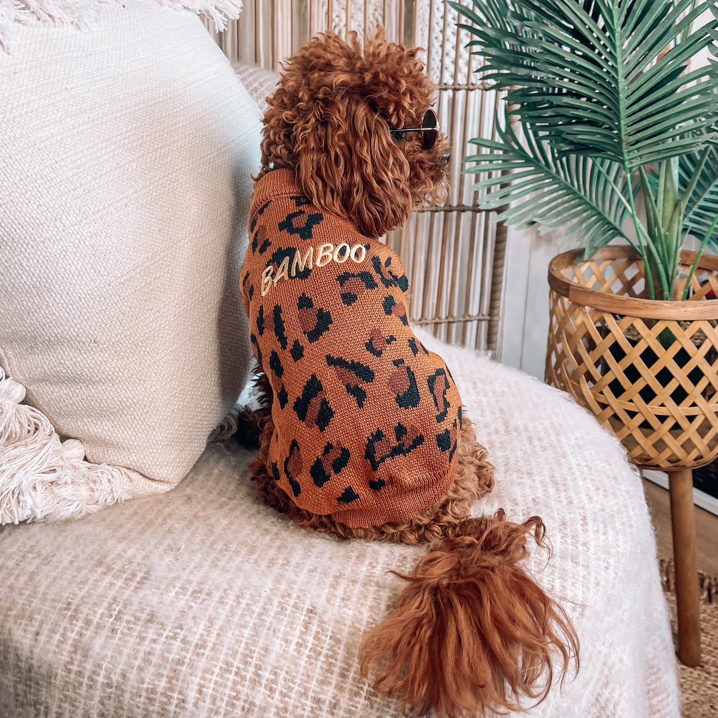 Dawson Personalised Dog Cardigan